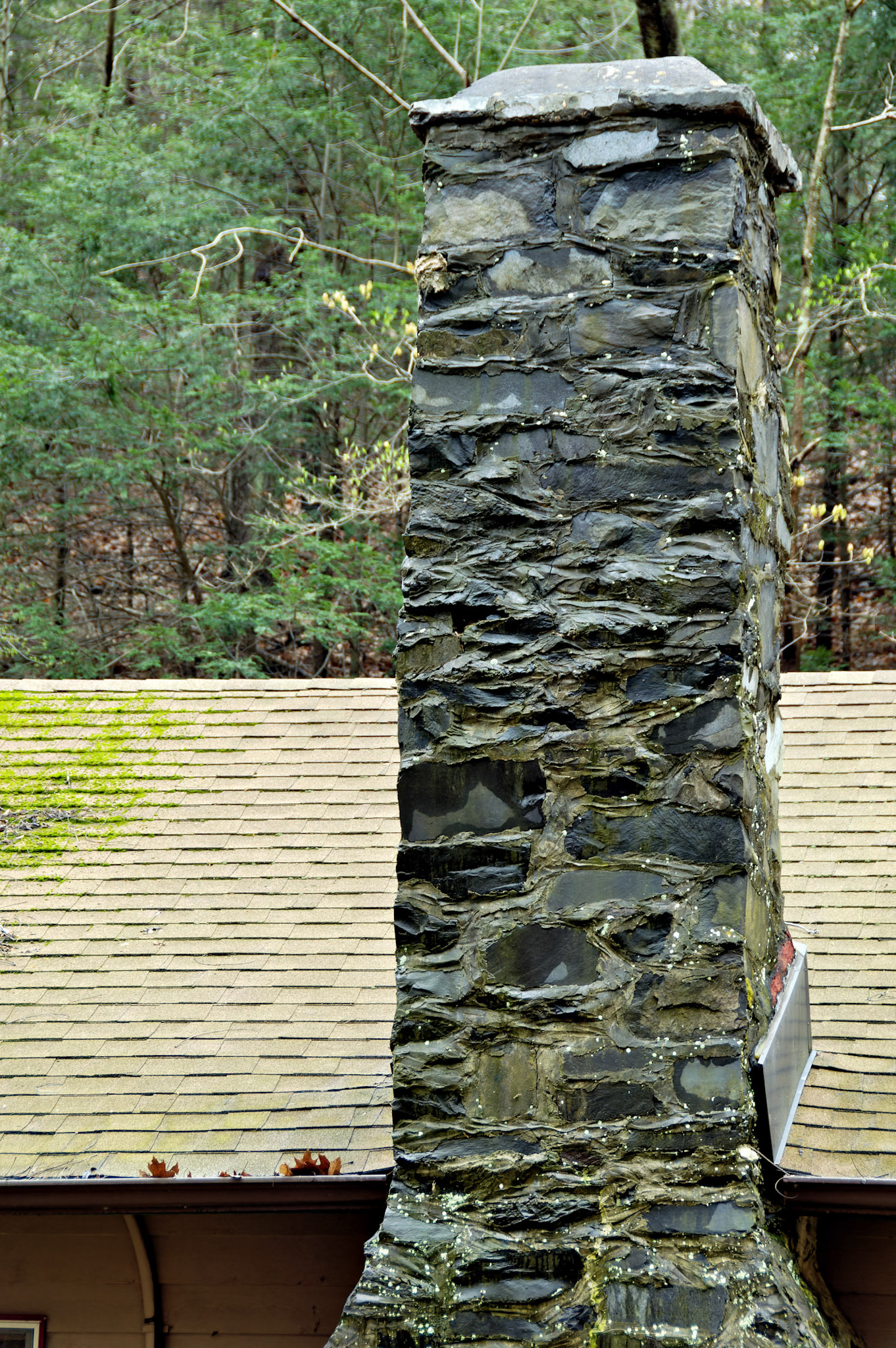 CT_20060423_0189_PS.dng