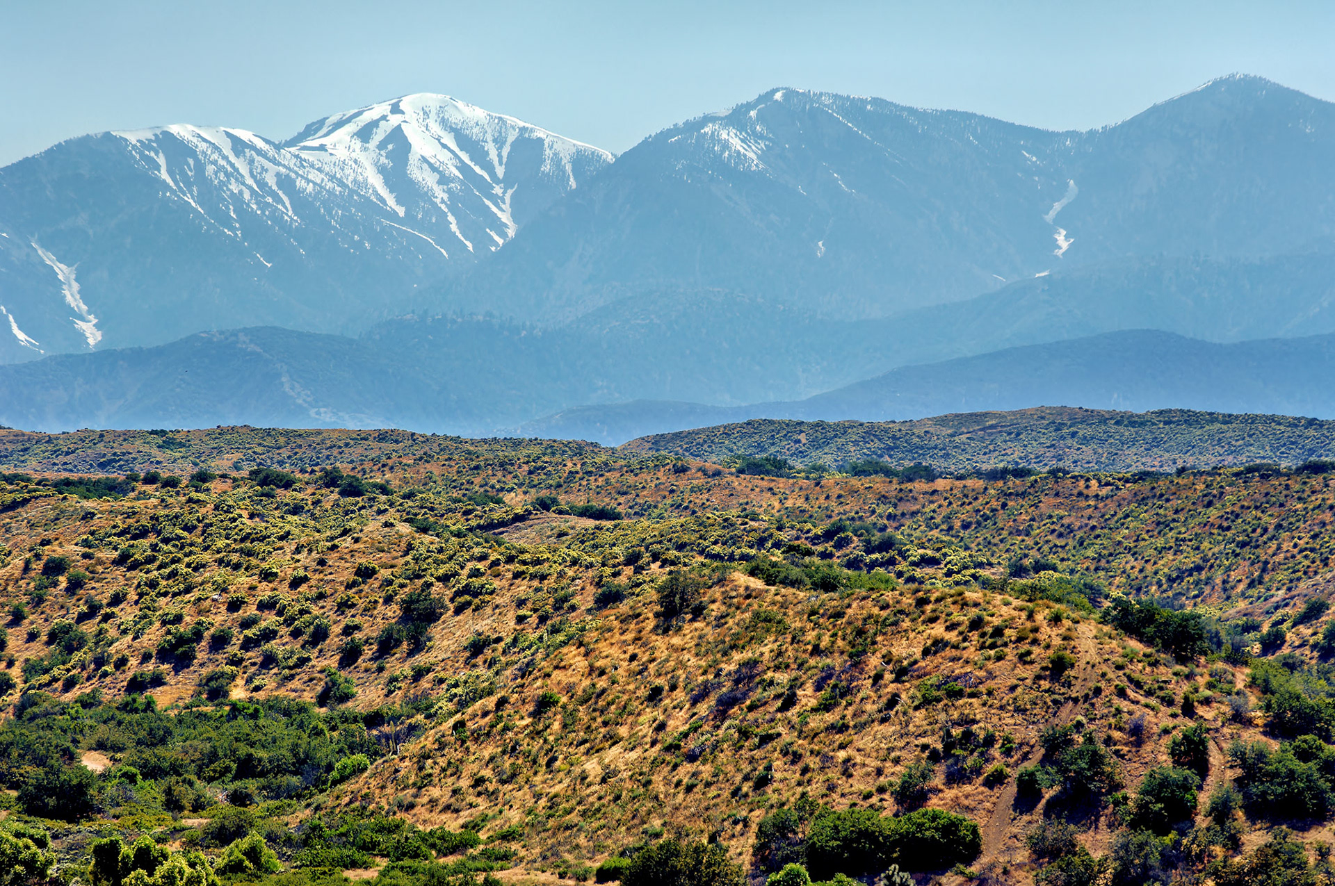 CA_20050613_0025_PS.dng