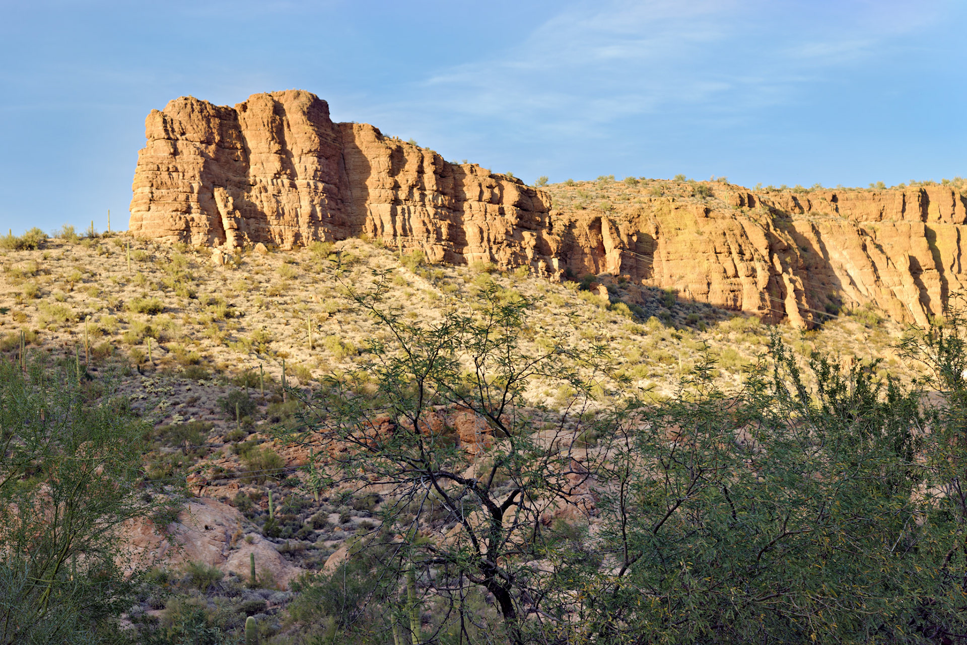 AZ_20121209_0203_PS.dng