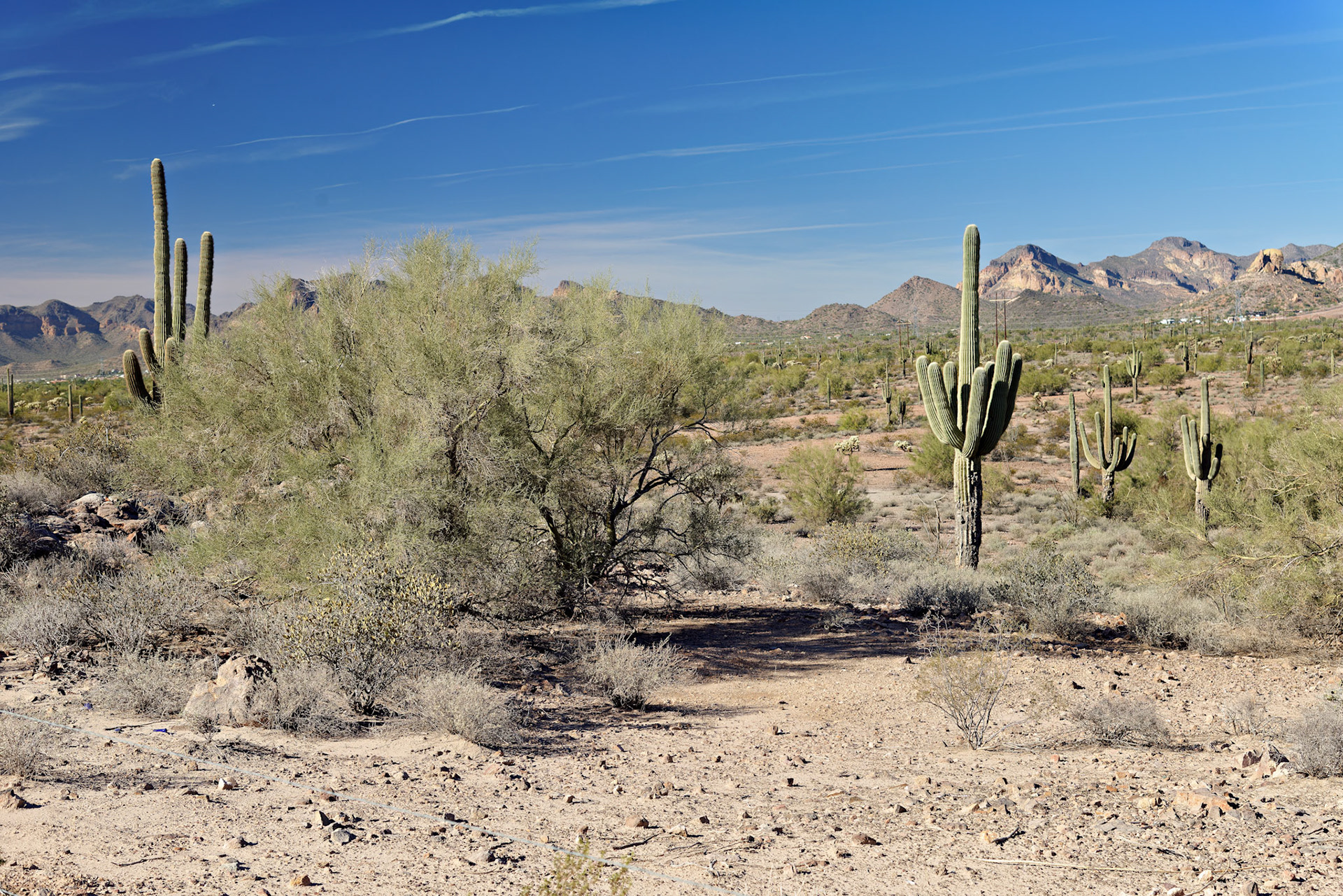 AZ_20121209_0315_PS.dng