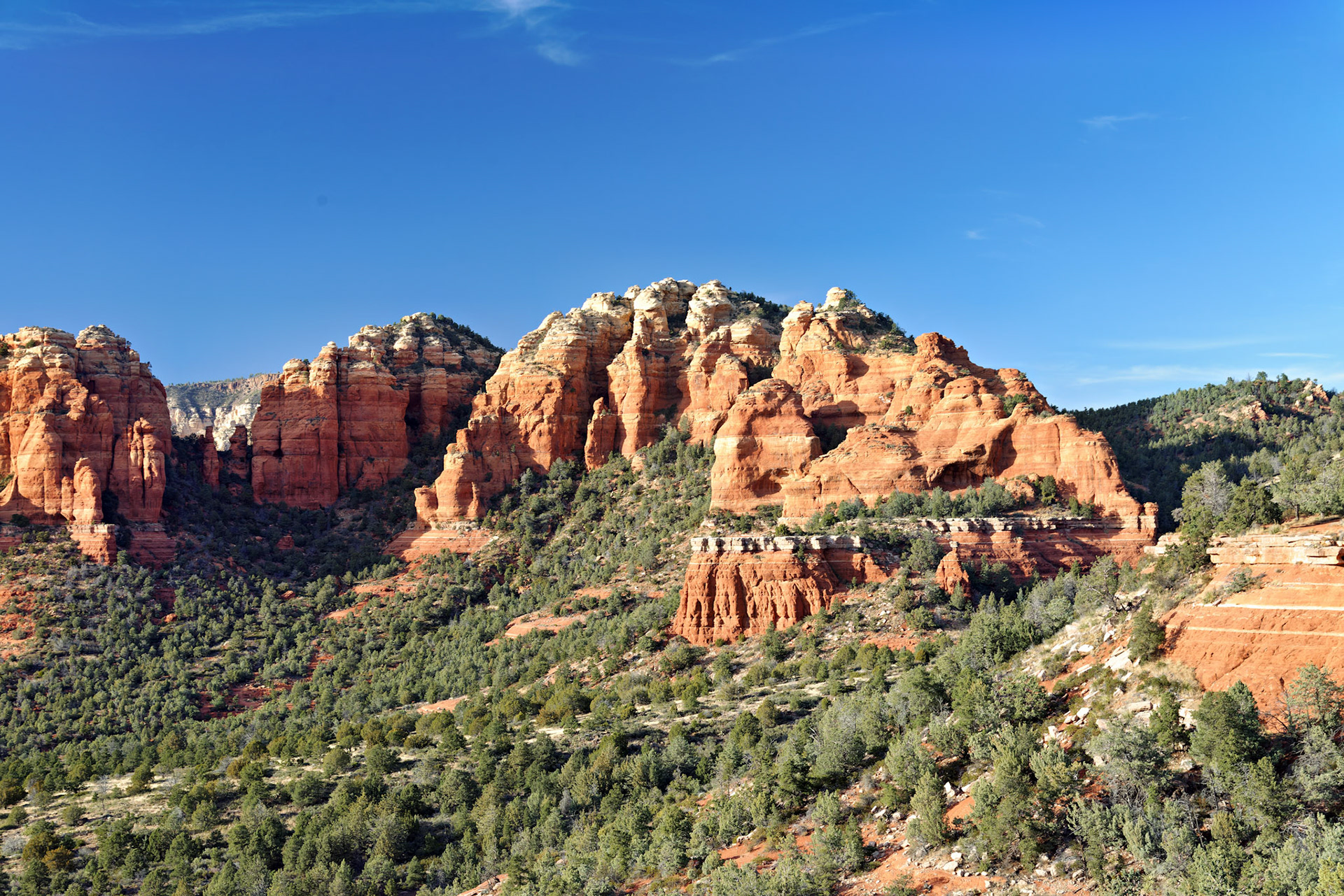 AZ_20121211_0573_PS.dng