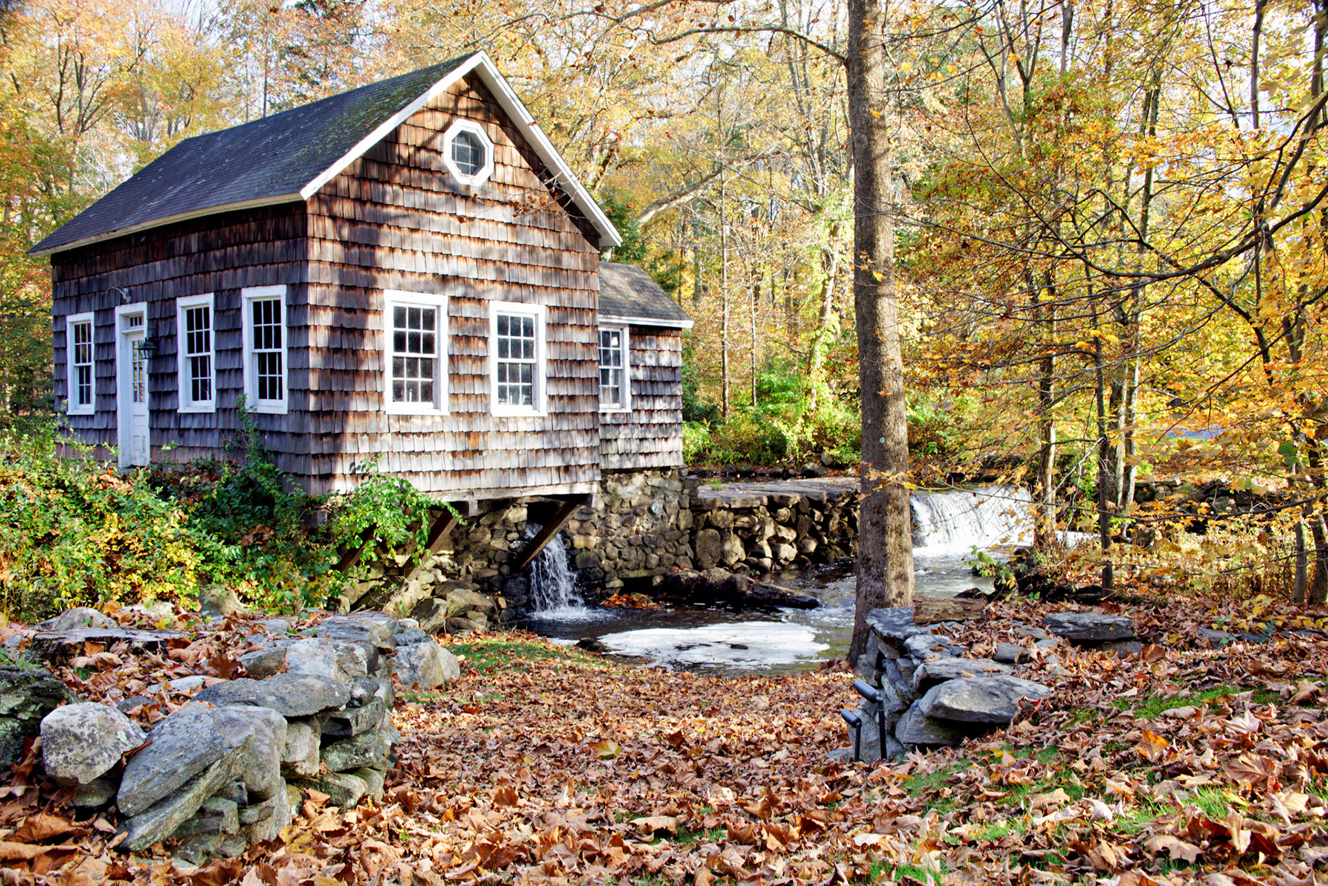 CT_20141020_0498_PS.dng