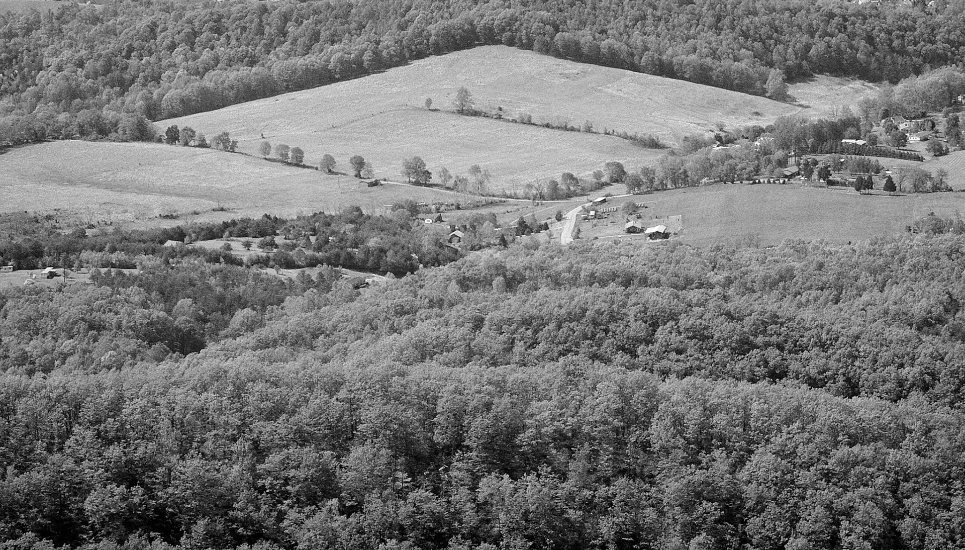 Black &amp; White 00044