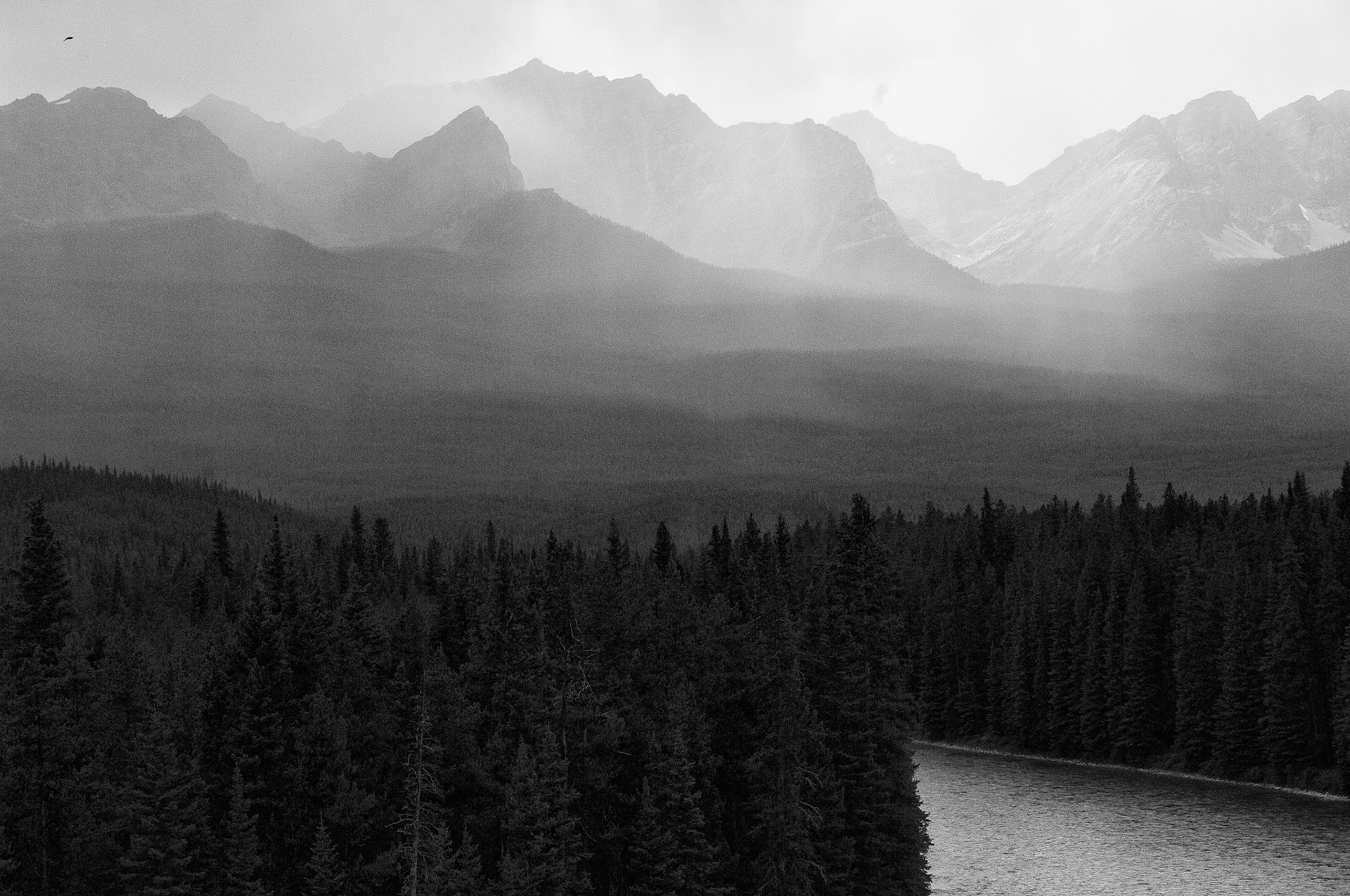 Black &amp; White 00086