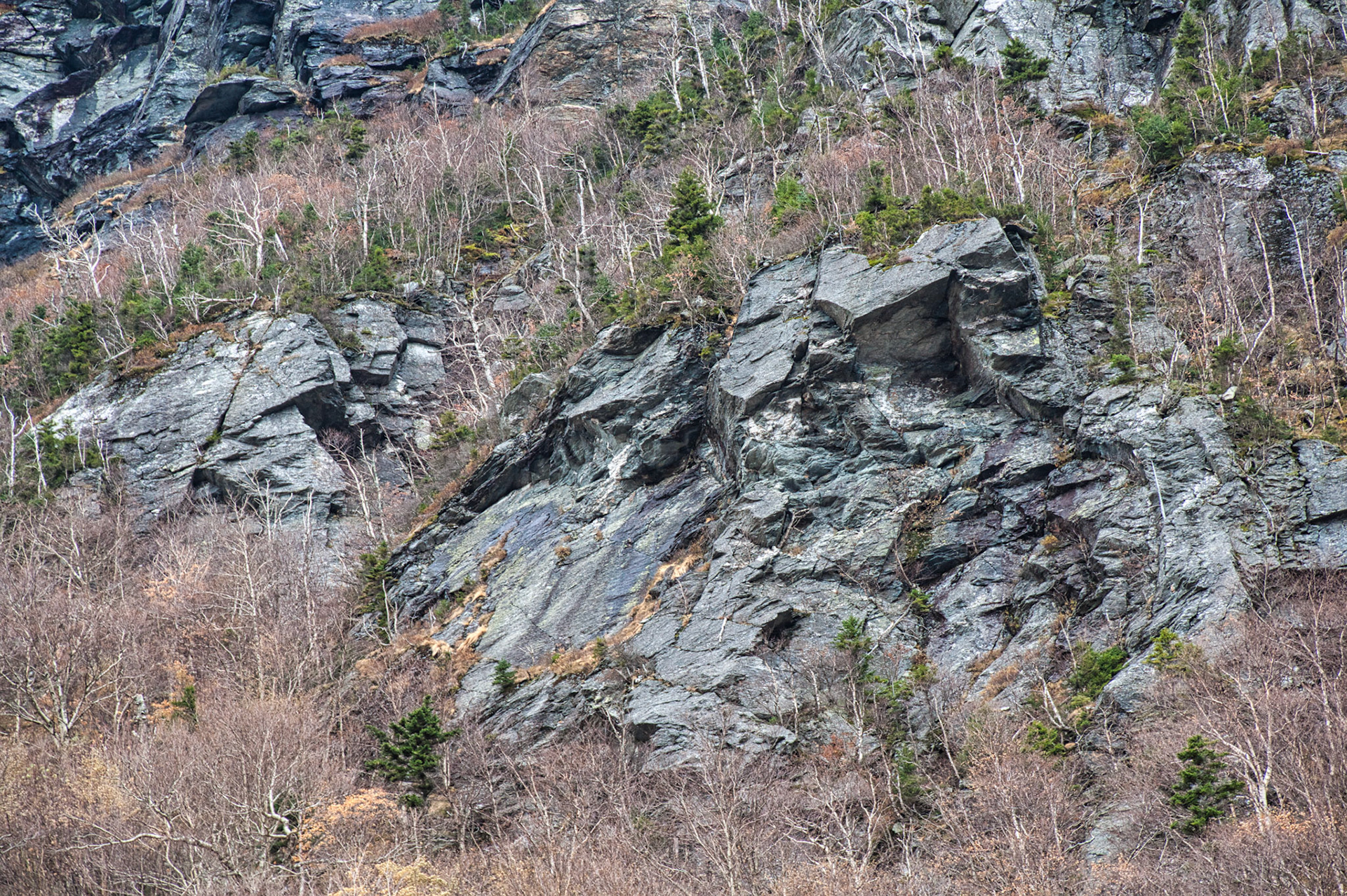 VT Miscellaneous 00031