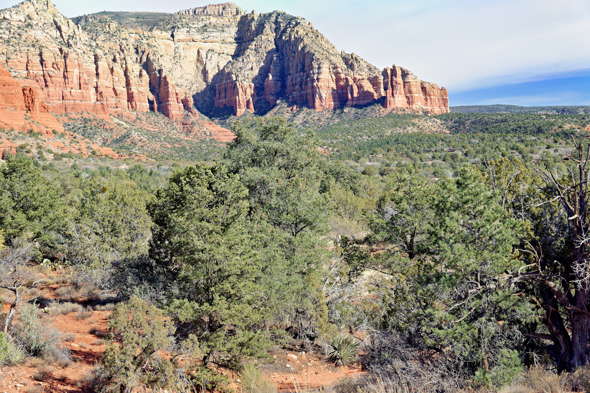 AZ_20121211_0602_PS.dng