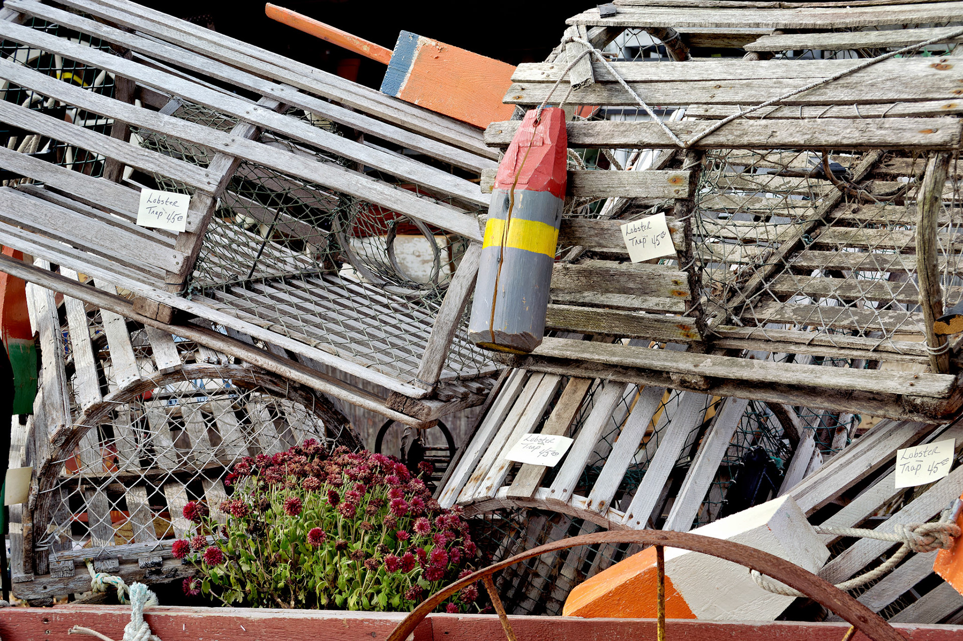 CT_20051104_0094_PS.dng