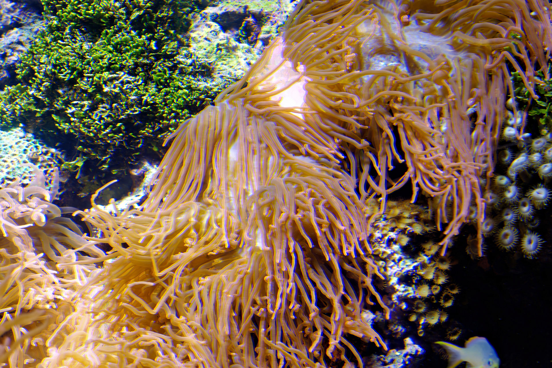 Wildlife_20120725_0284_PS.dng