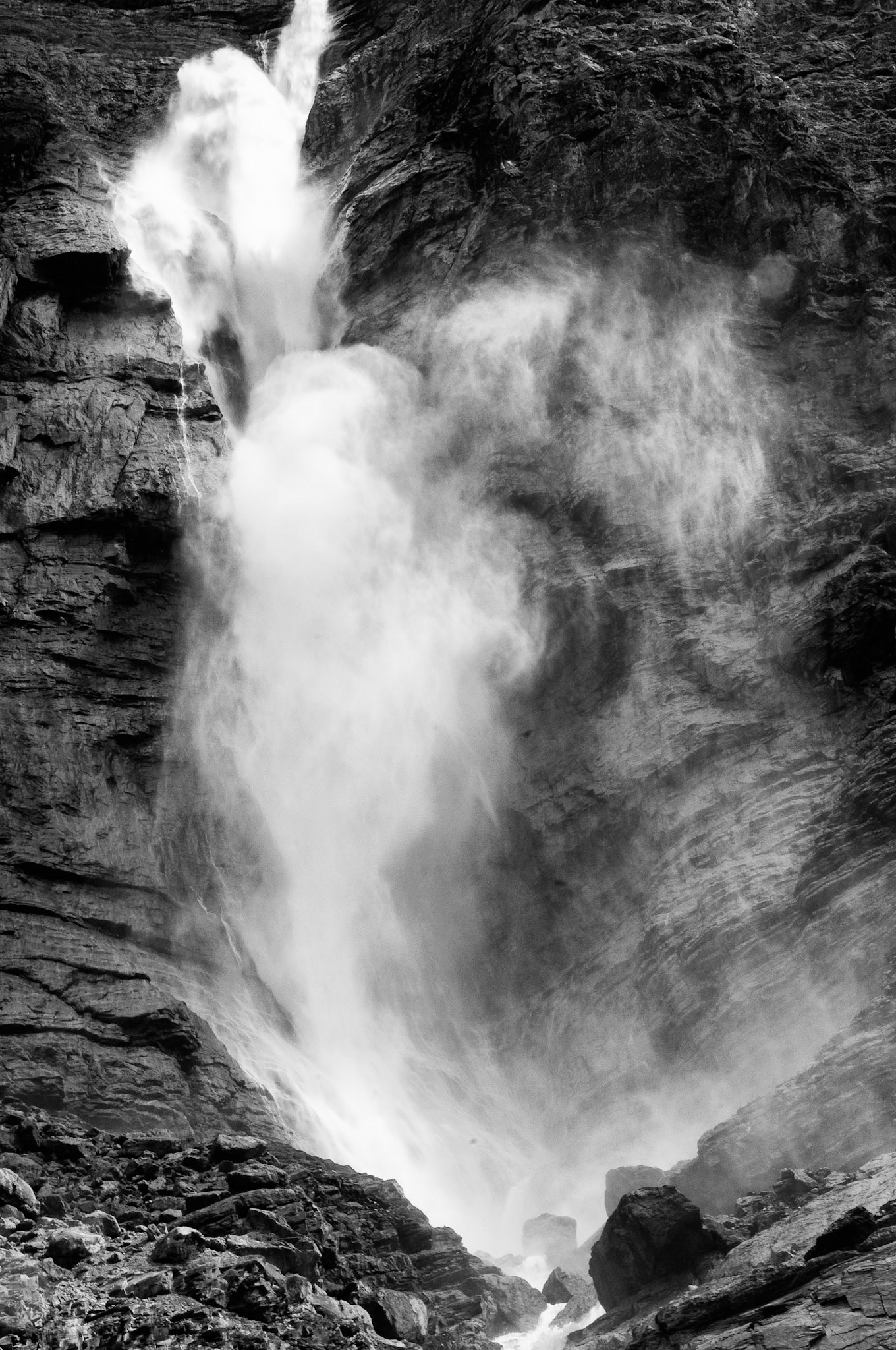 Black &amp; White 00085