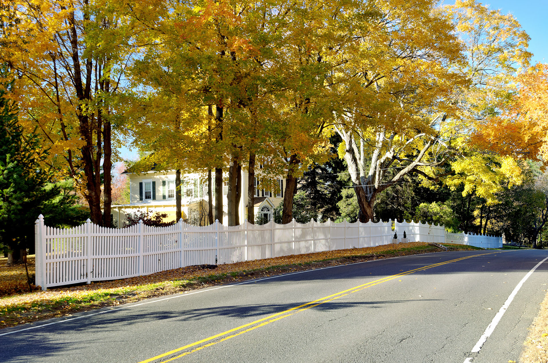 CT_20051102_0051_PS.dng