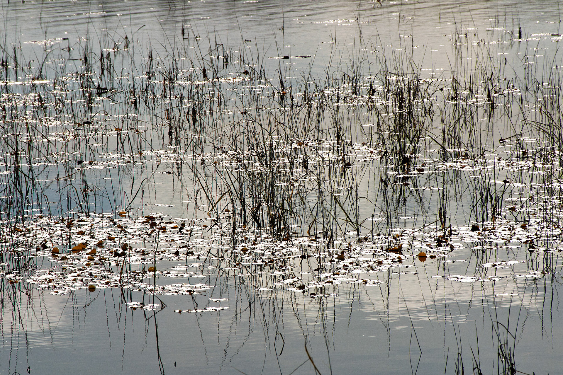 VT_20021030_0078_PS.dng