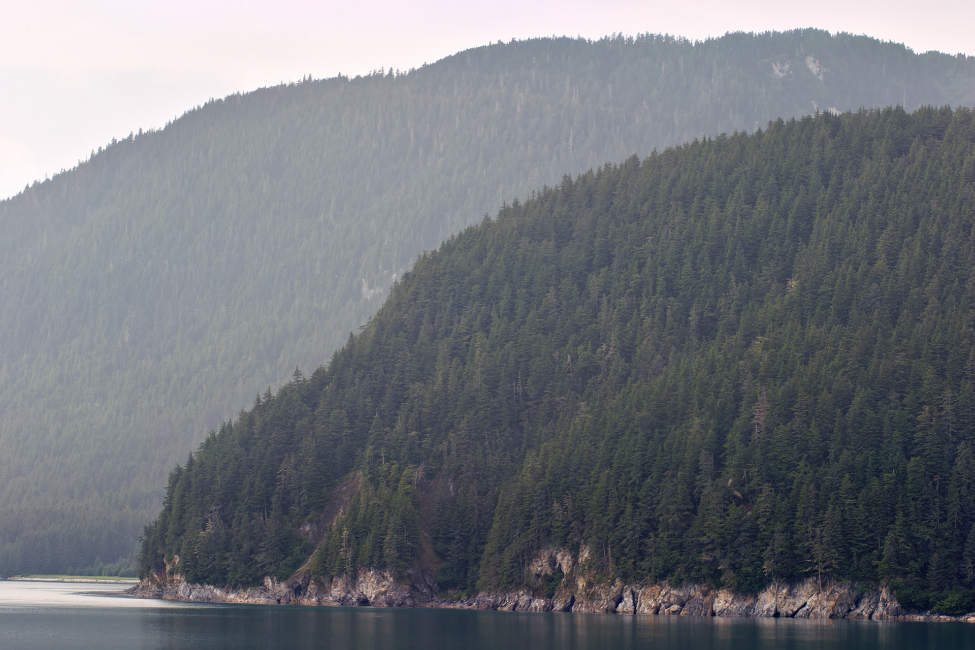 AK_20030802_0417_PS.dng