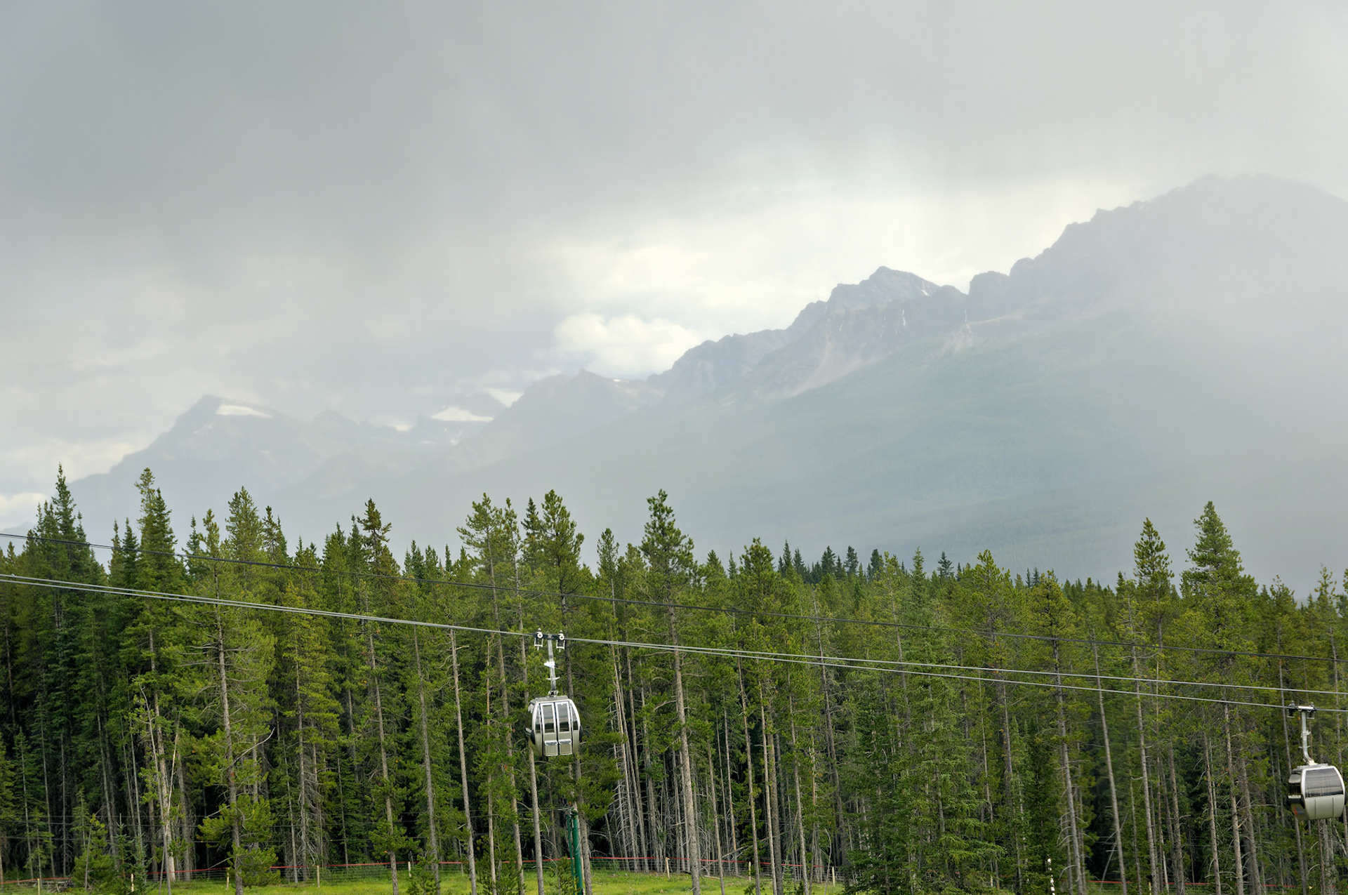 CN_20060801_0087_PS.dng