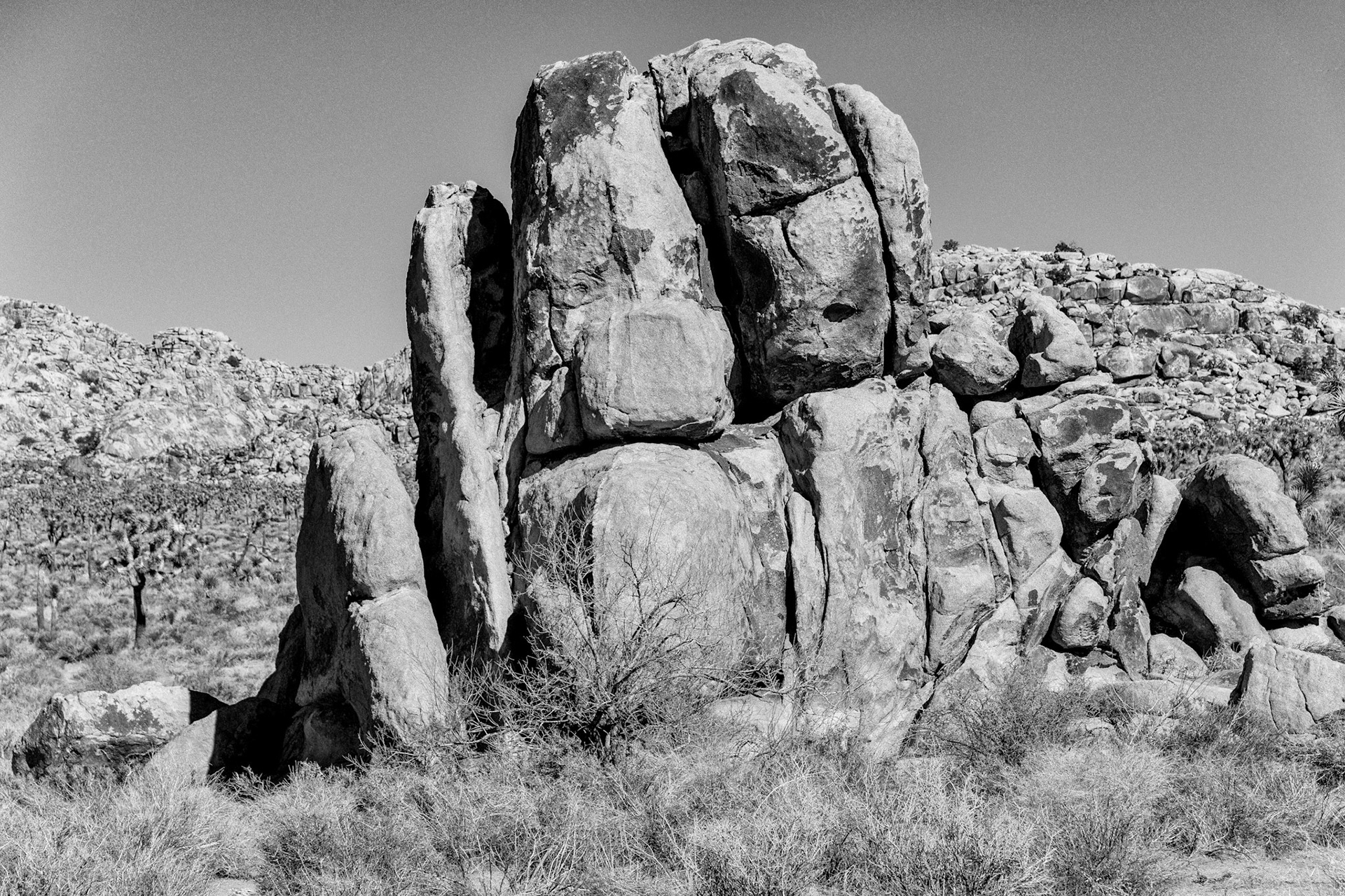 Black &amp; White 00101