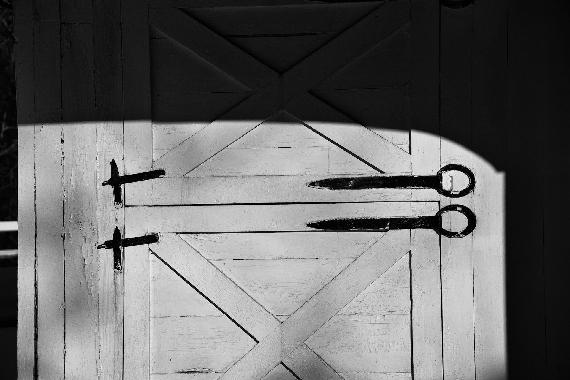 Black &amp; White 00115