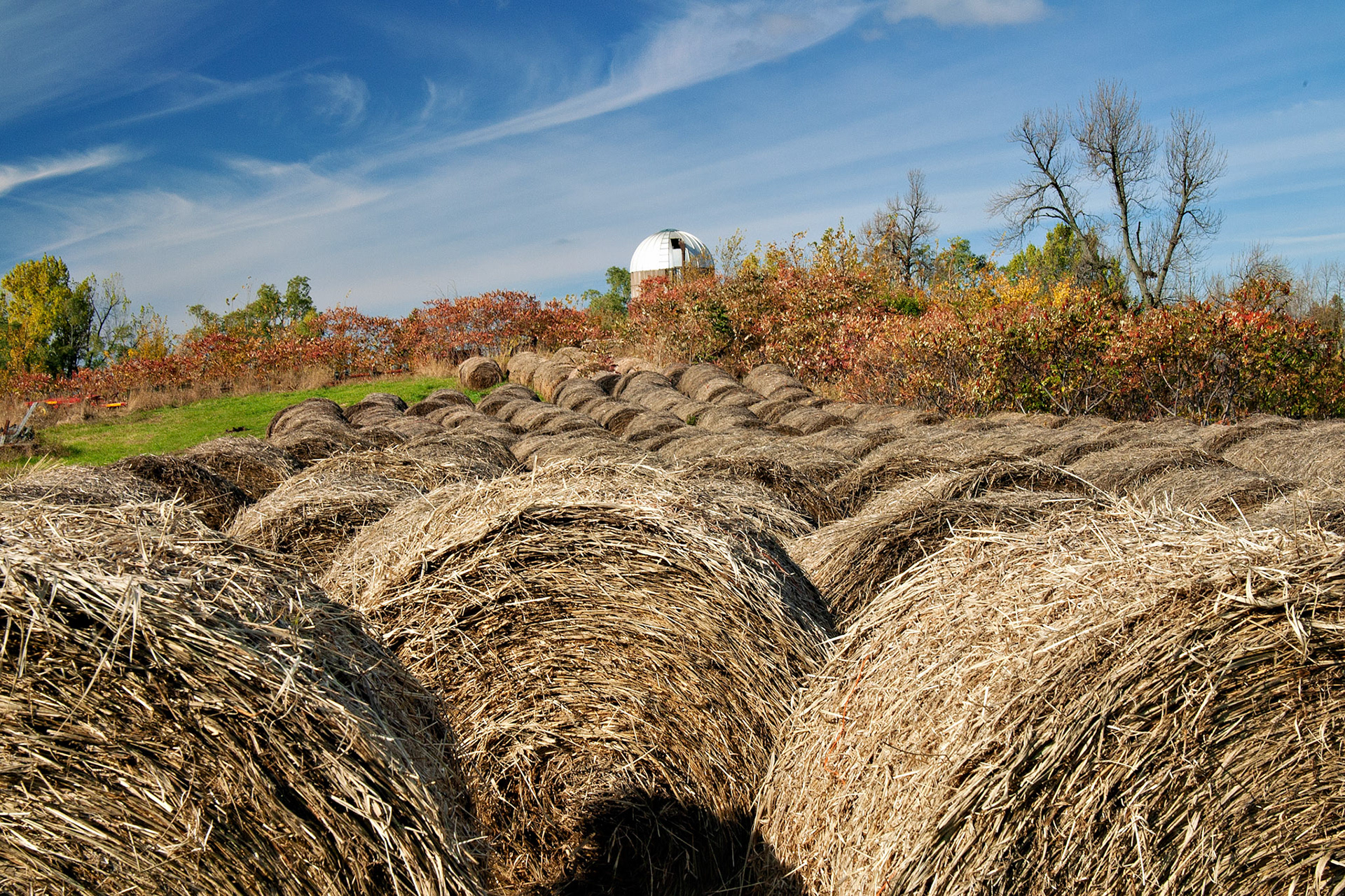 VT_20021030_0071_PS.dng