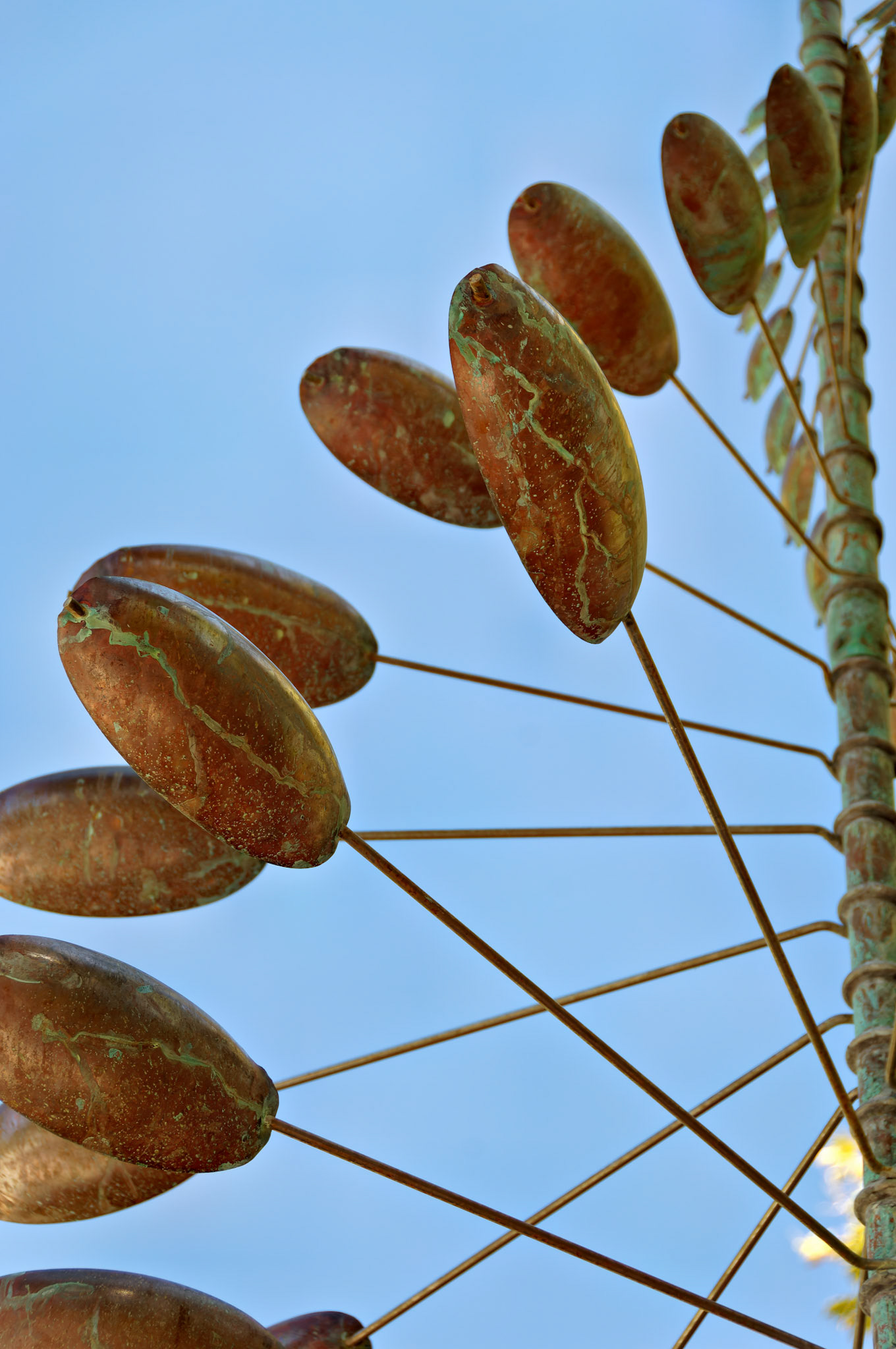 Artistic_20060917_0028_PS.dng