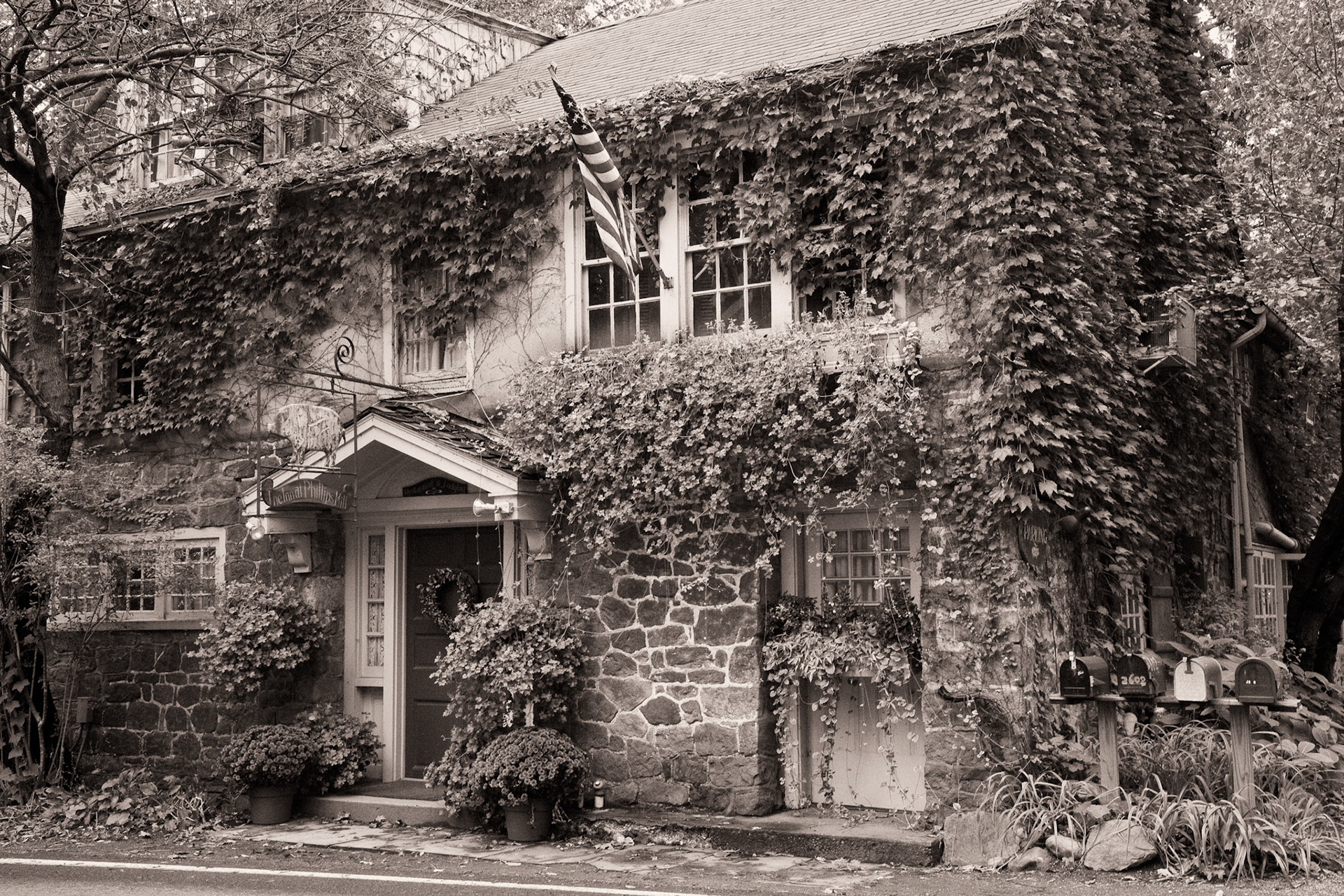 Black &amp; White 00122