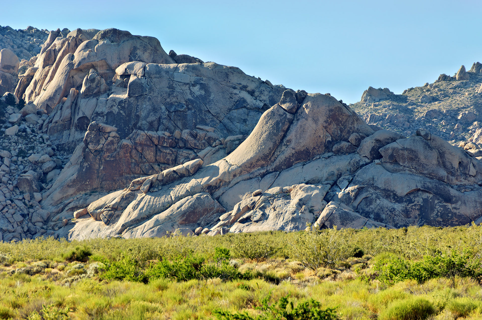 CA_20050614_0184_PS.dng