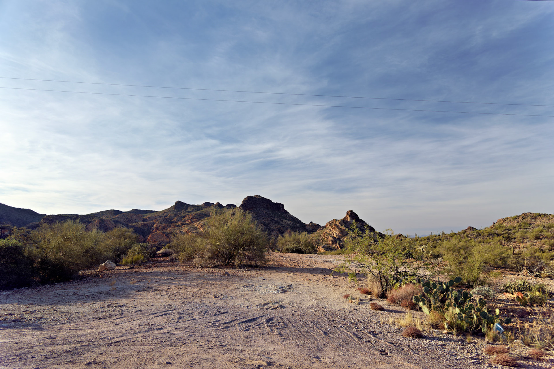 AZ_20121209_0190_PS.dng
