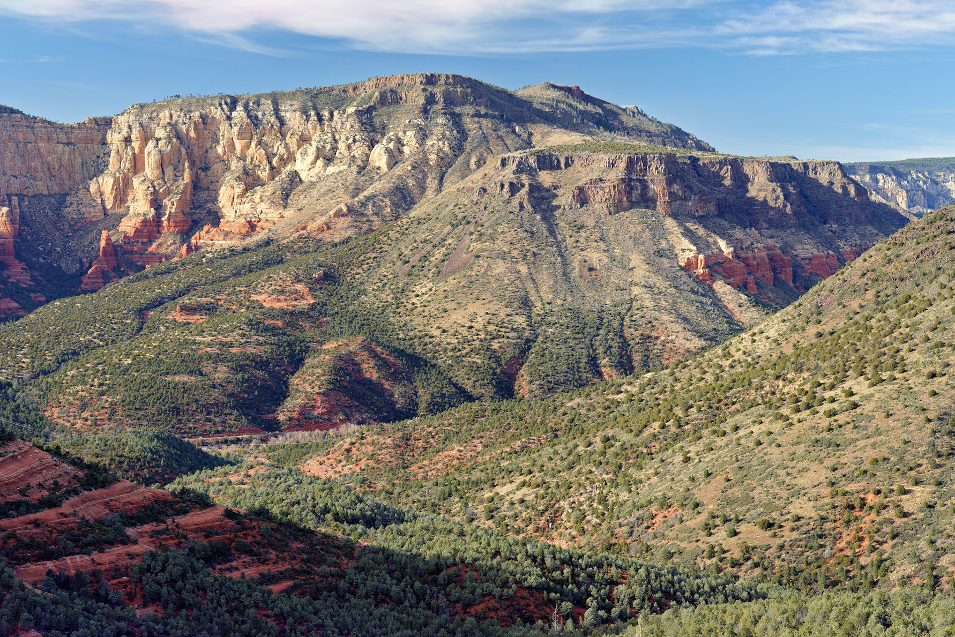 AZ_20121211_0533_PS.dng
