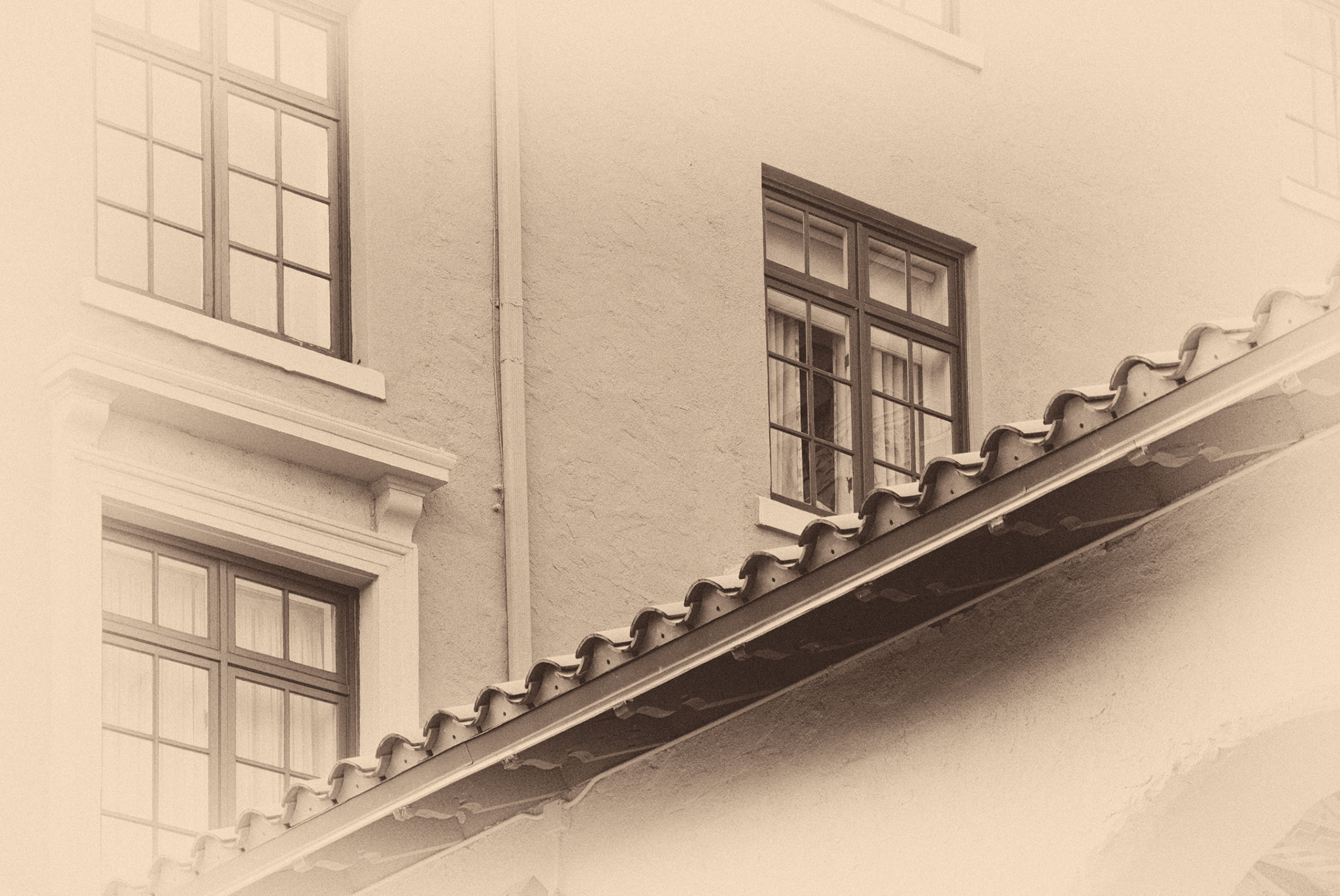 Black &amp; White 00142