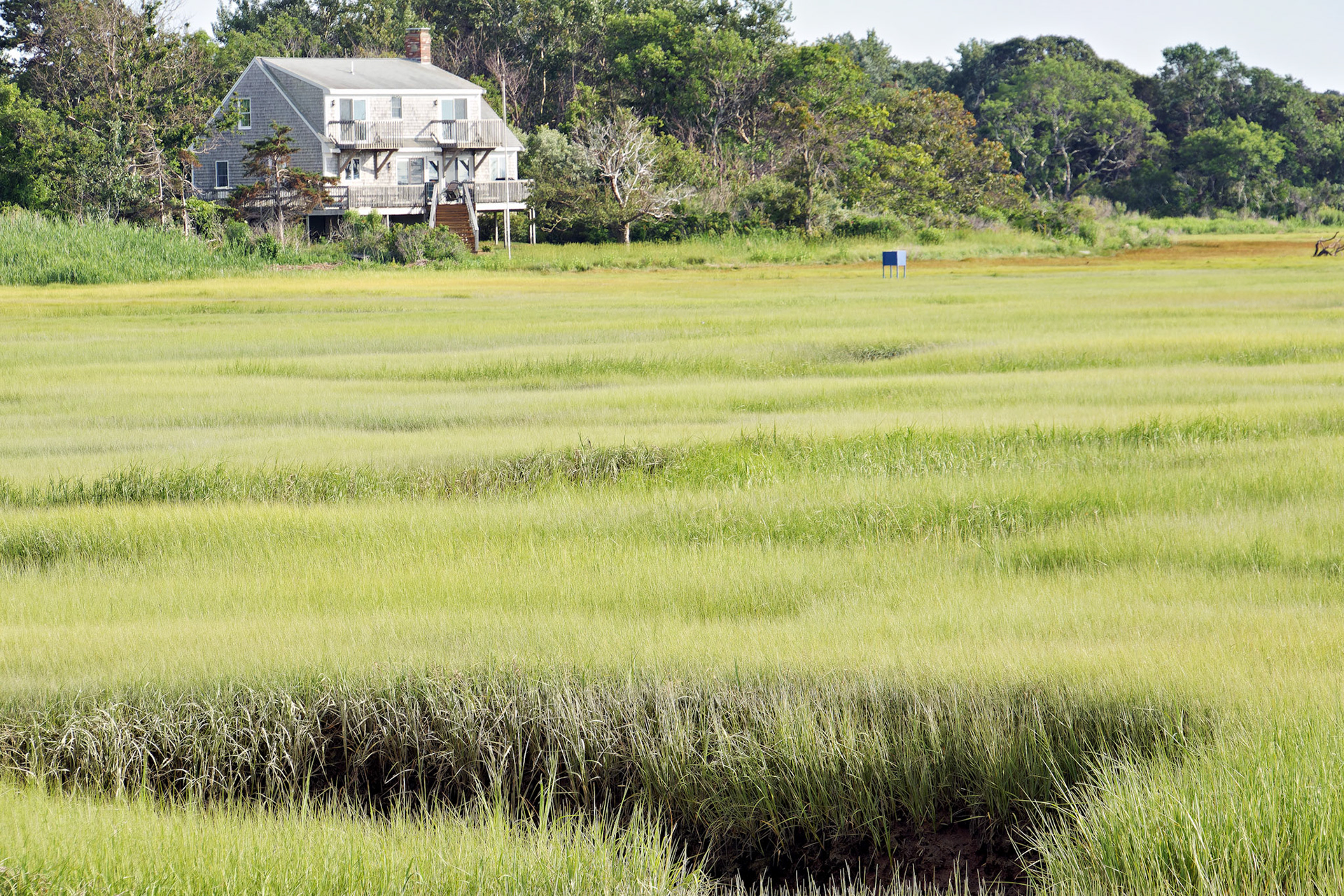 MA_CapeCod_20150717_0245_PS.dng