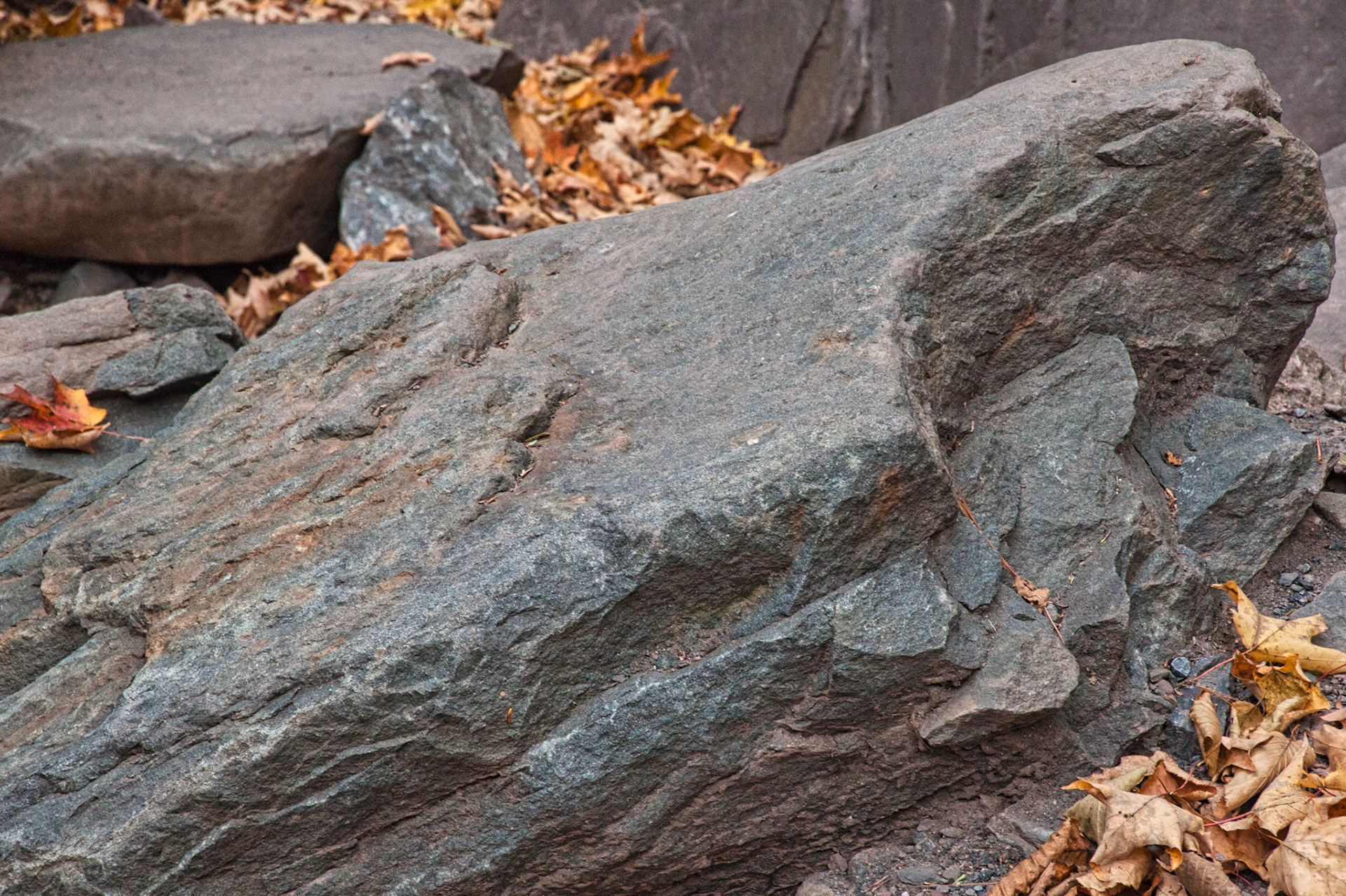 VT Miscellaneous 00006