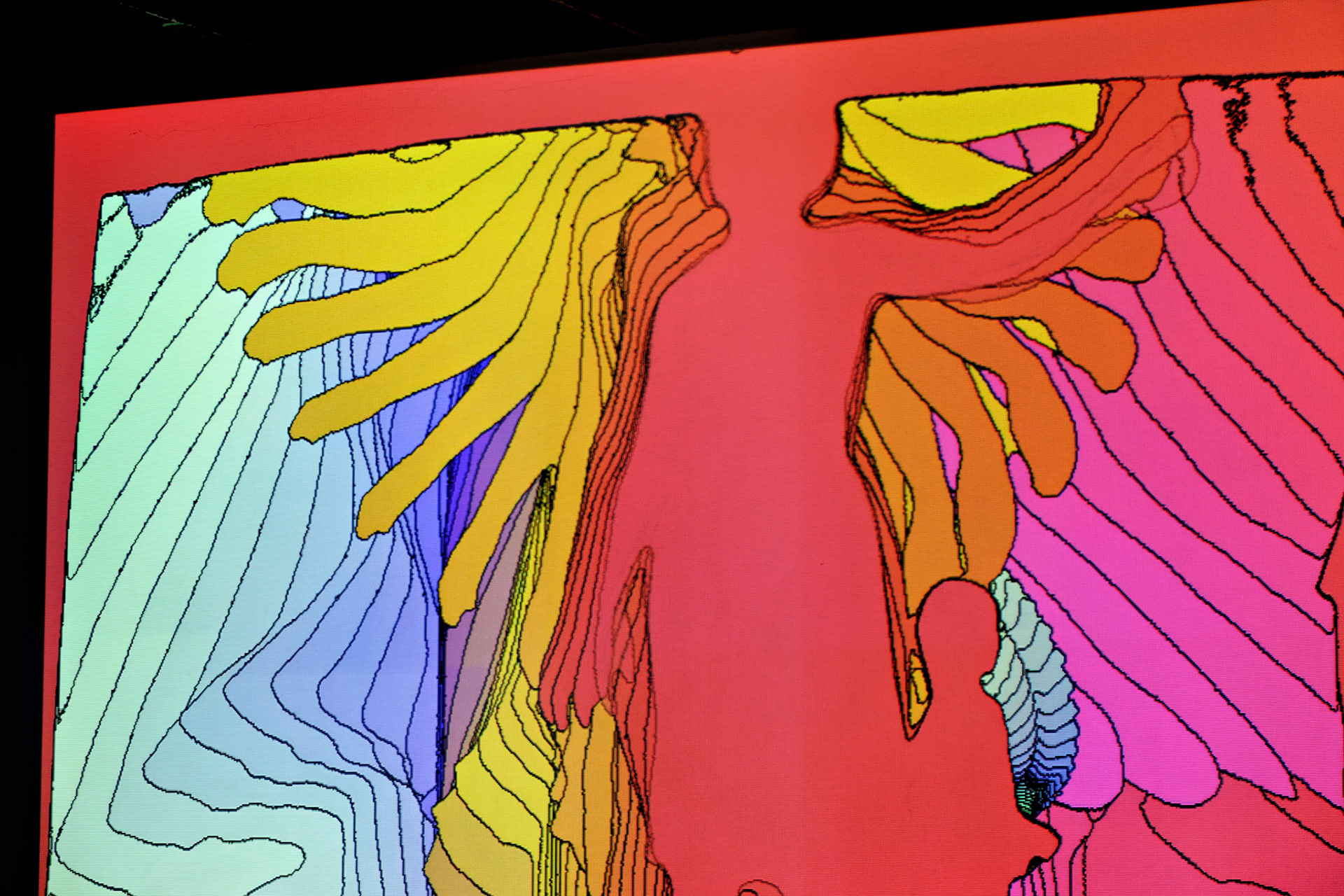 Artistic_20170714_0154_PS.dng