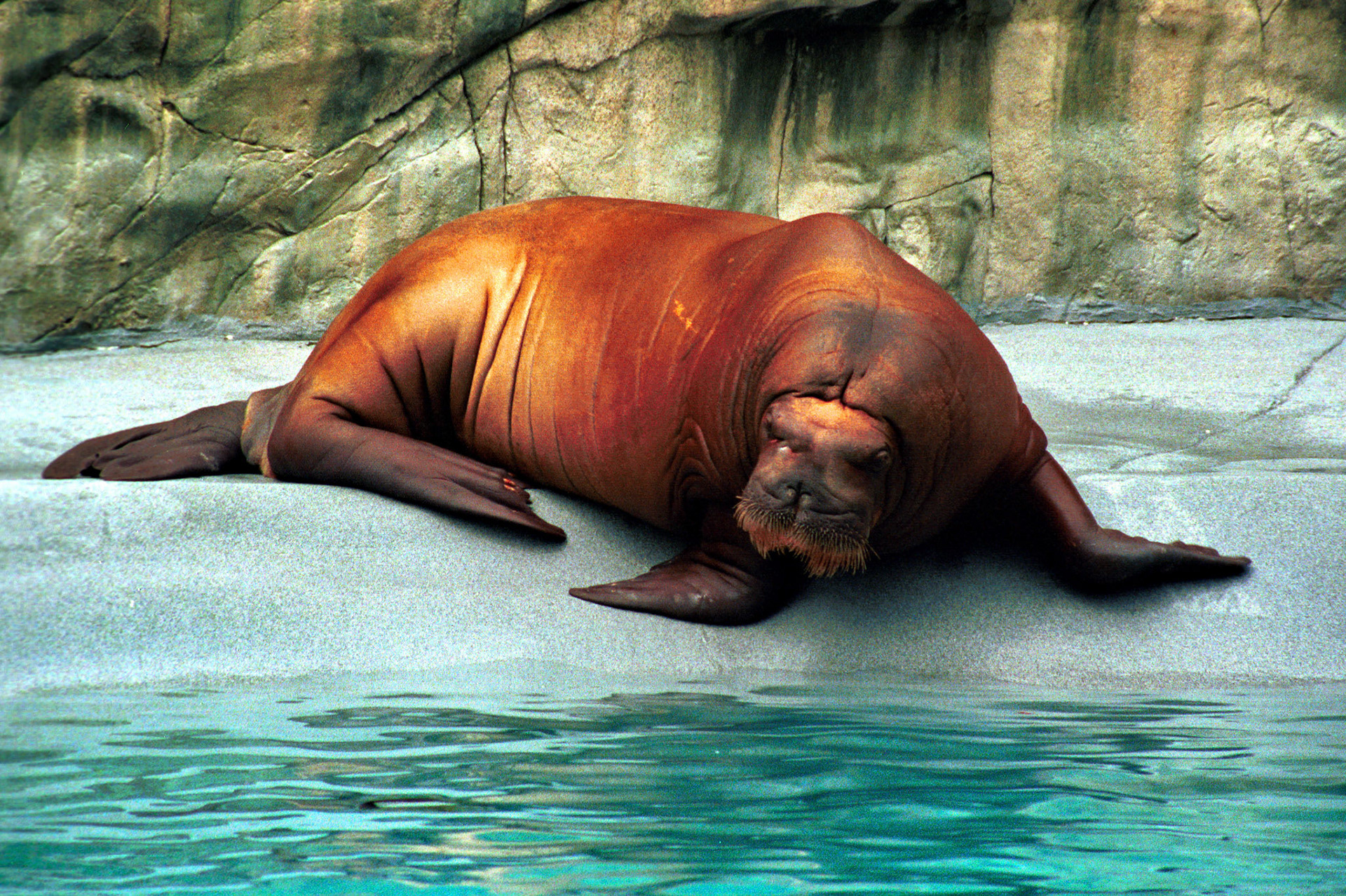 Wildlife_20221129_0791_PS.dng