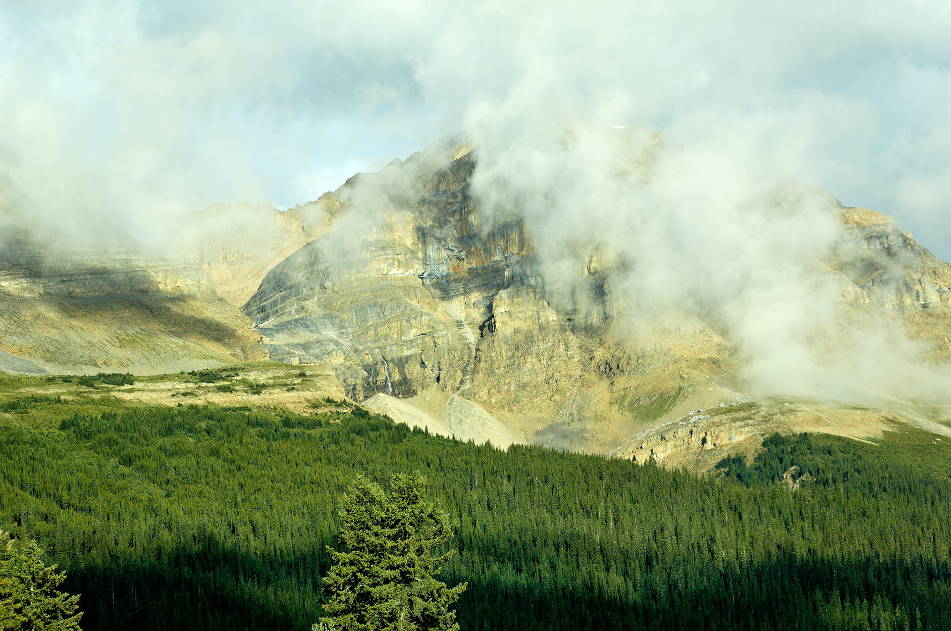 CN_20060802_0534_PS.dng
