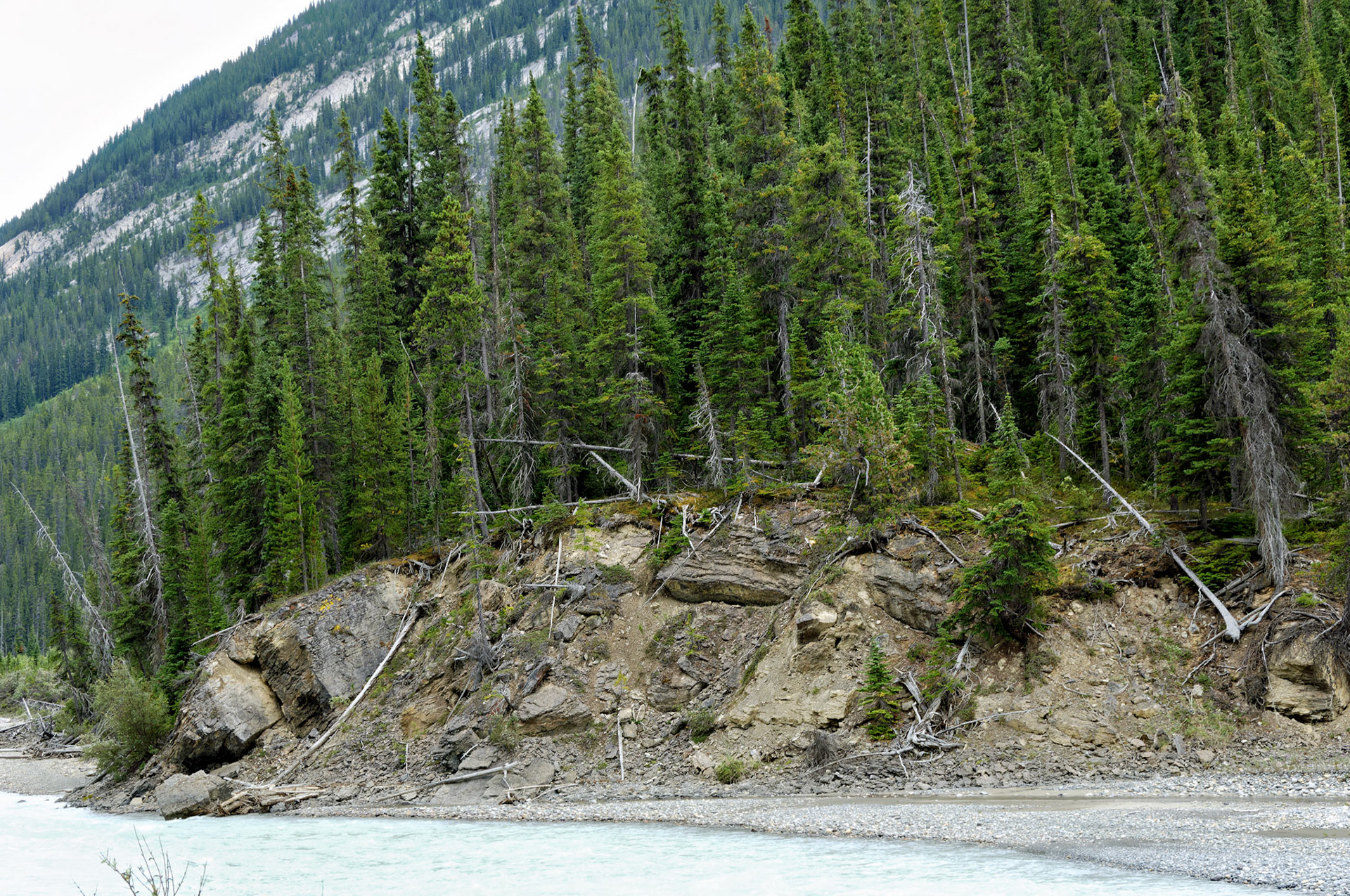 CN_20060802_0198_PS.dng