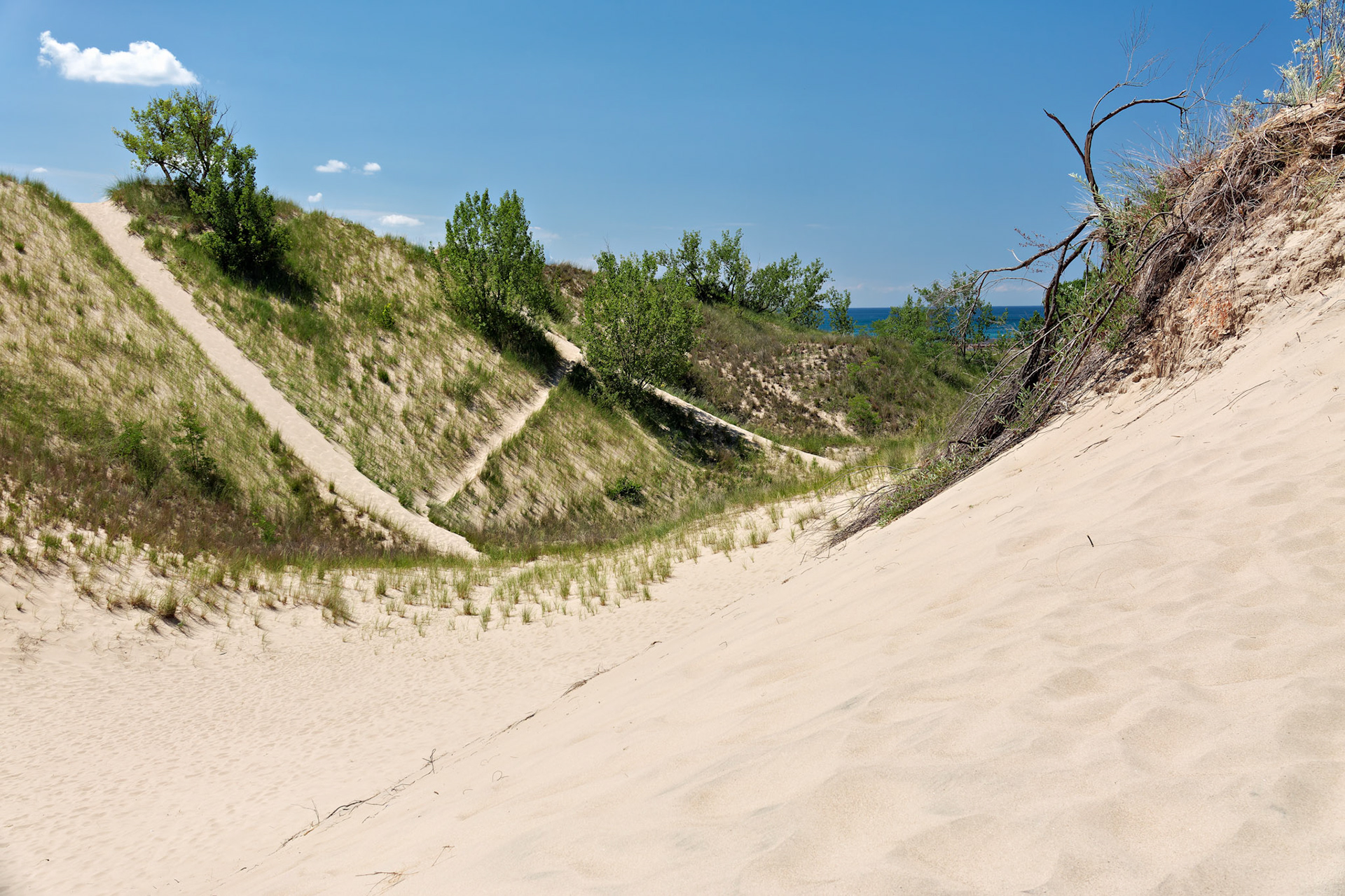 MI_New BuffaloArea_20160808_0162_PS.tif