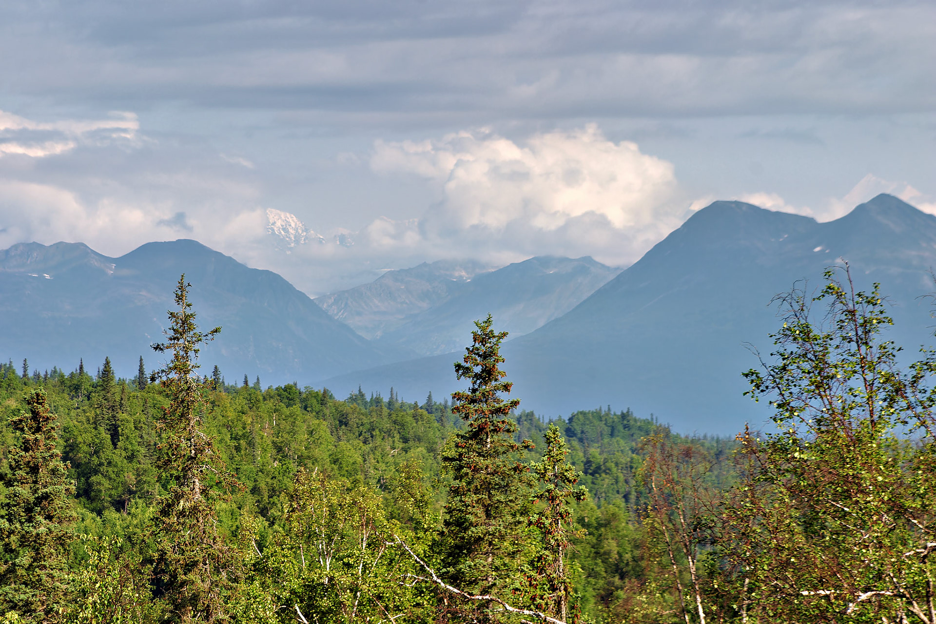 AK_20030806_0673_PS.dng