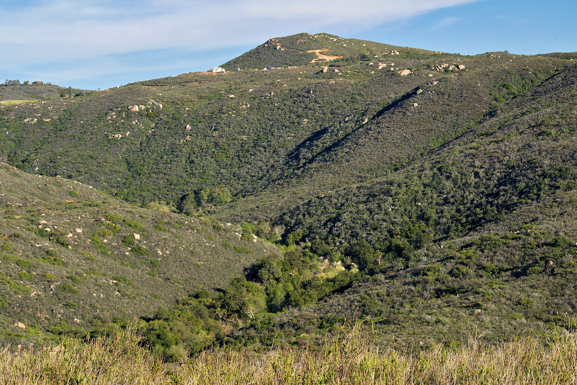 CA_LA_20030326_0004_PS.dng