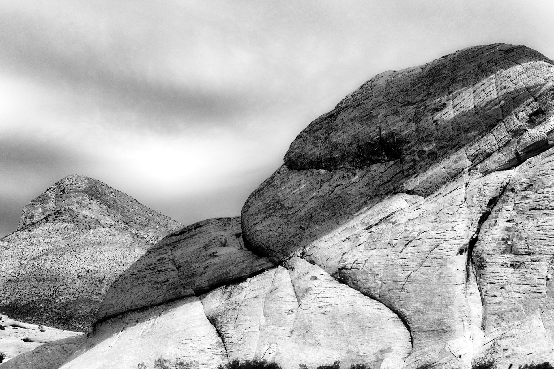 Black &amp; White Photos