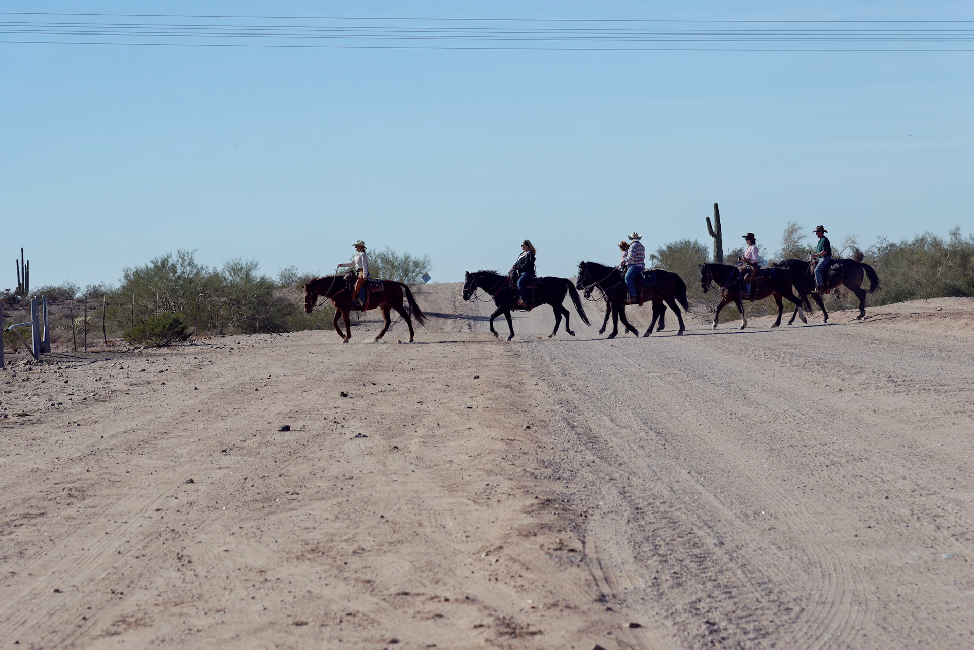 AZ_20121209_0305_PS.dng