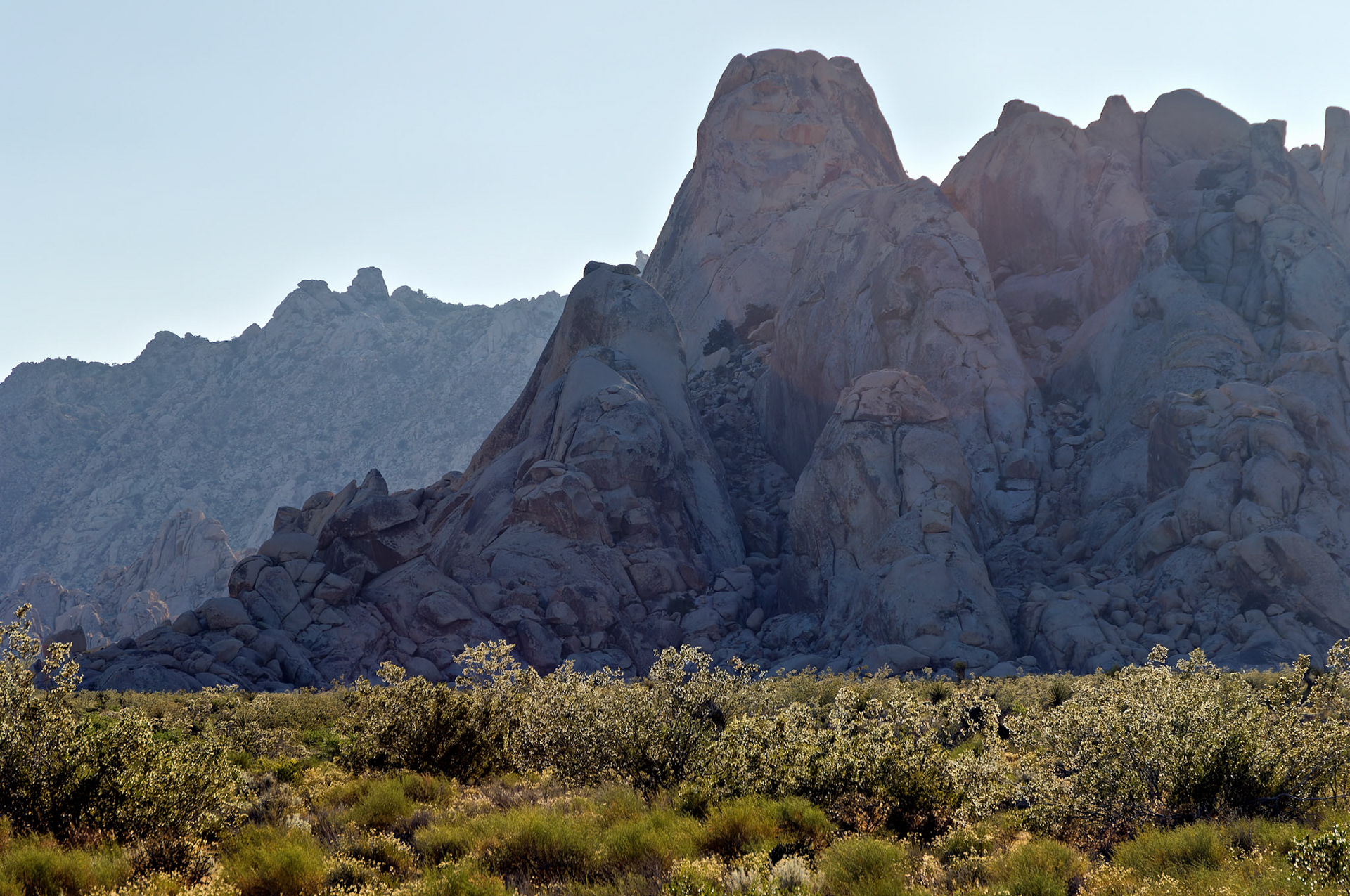 CA_20050614_0200_PS.dng