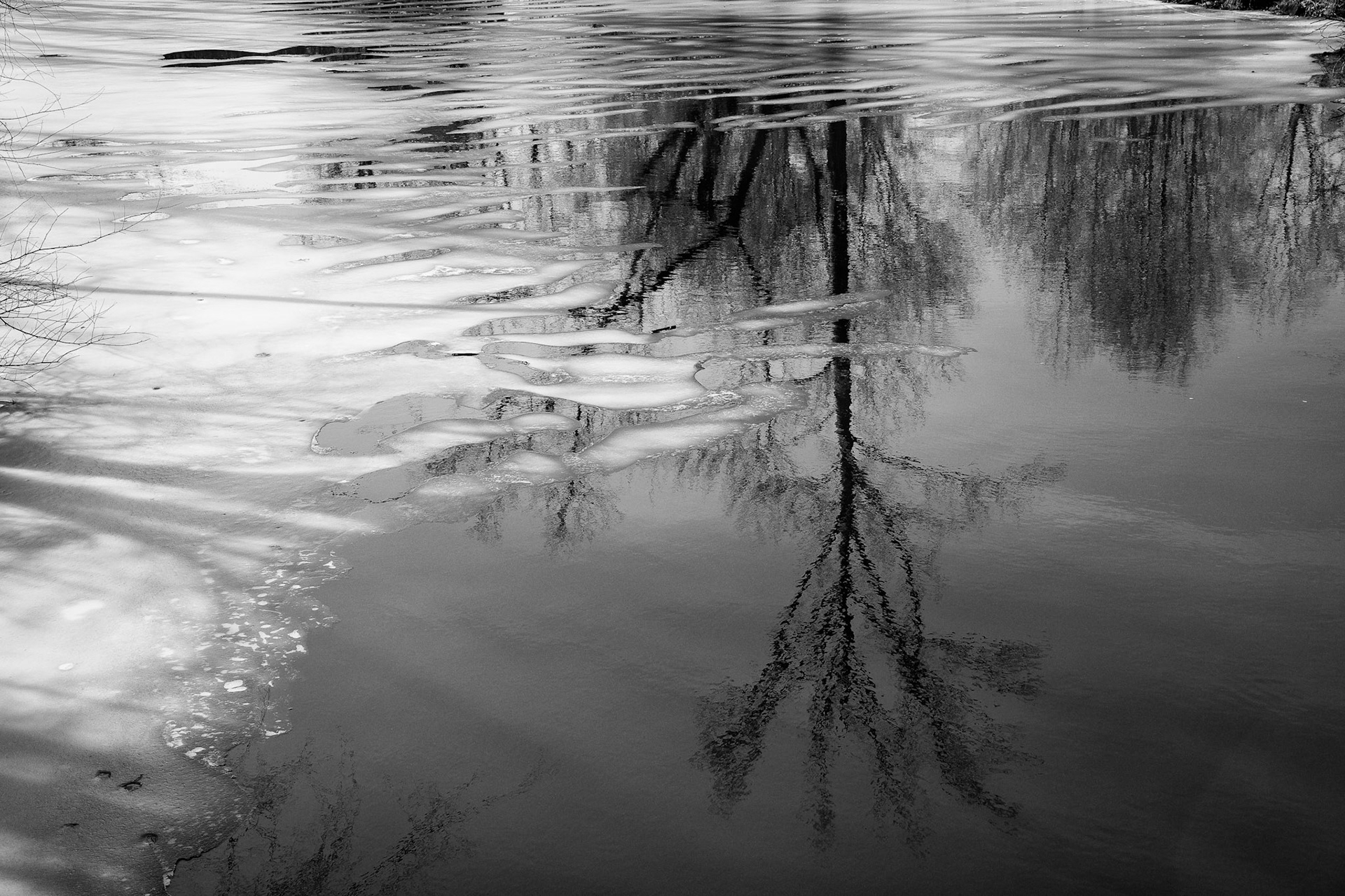 Black &amp; White Photos