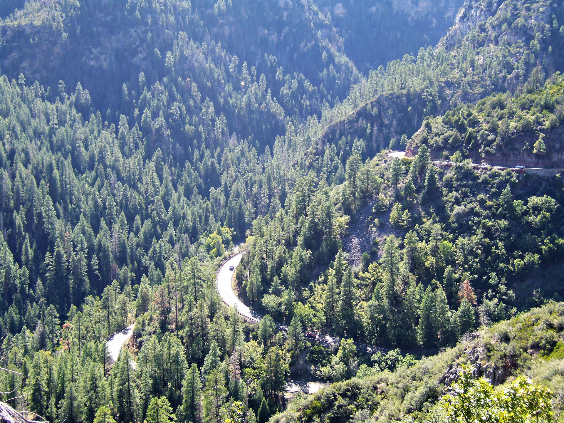 AZ_20060918_0798_PS.dng