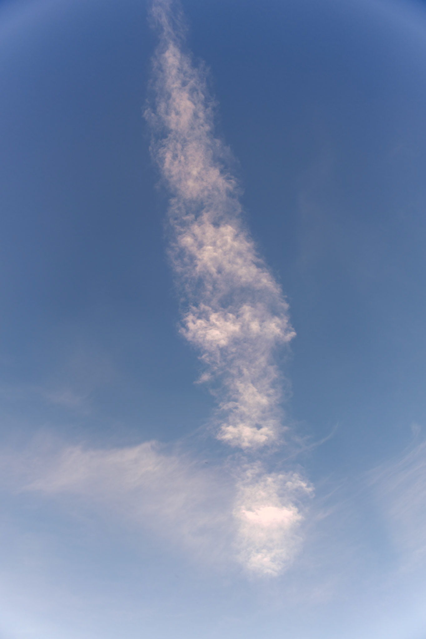 20240919__FXT1723_PS.tif