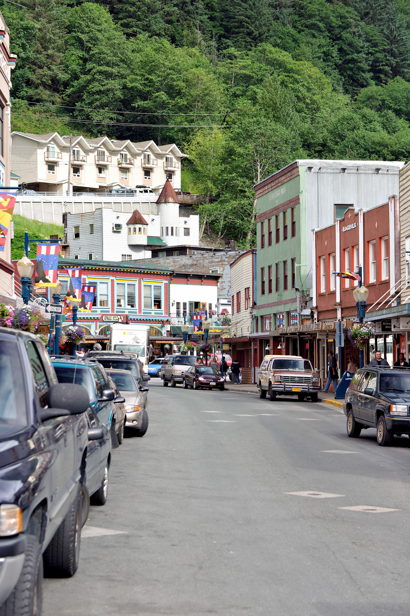 AK_20030731_0245_PS.dng