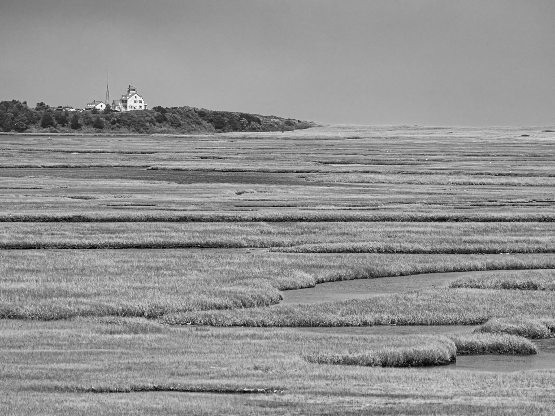 Black &amp; White 00277