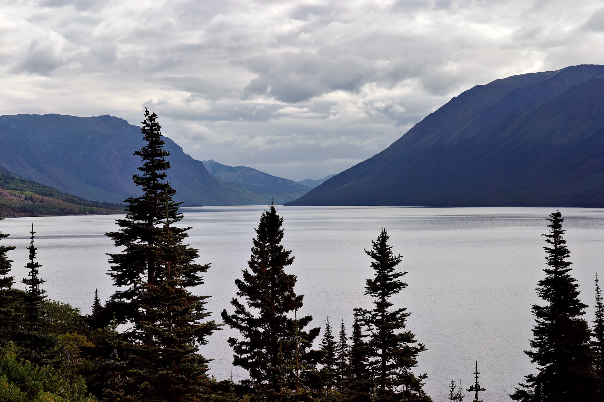 AK_20030801_0276_PS.dng