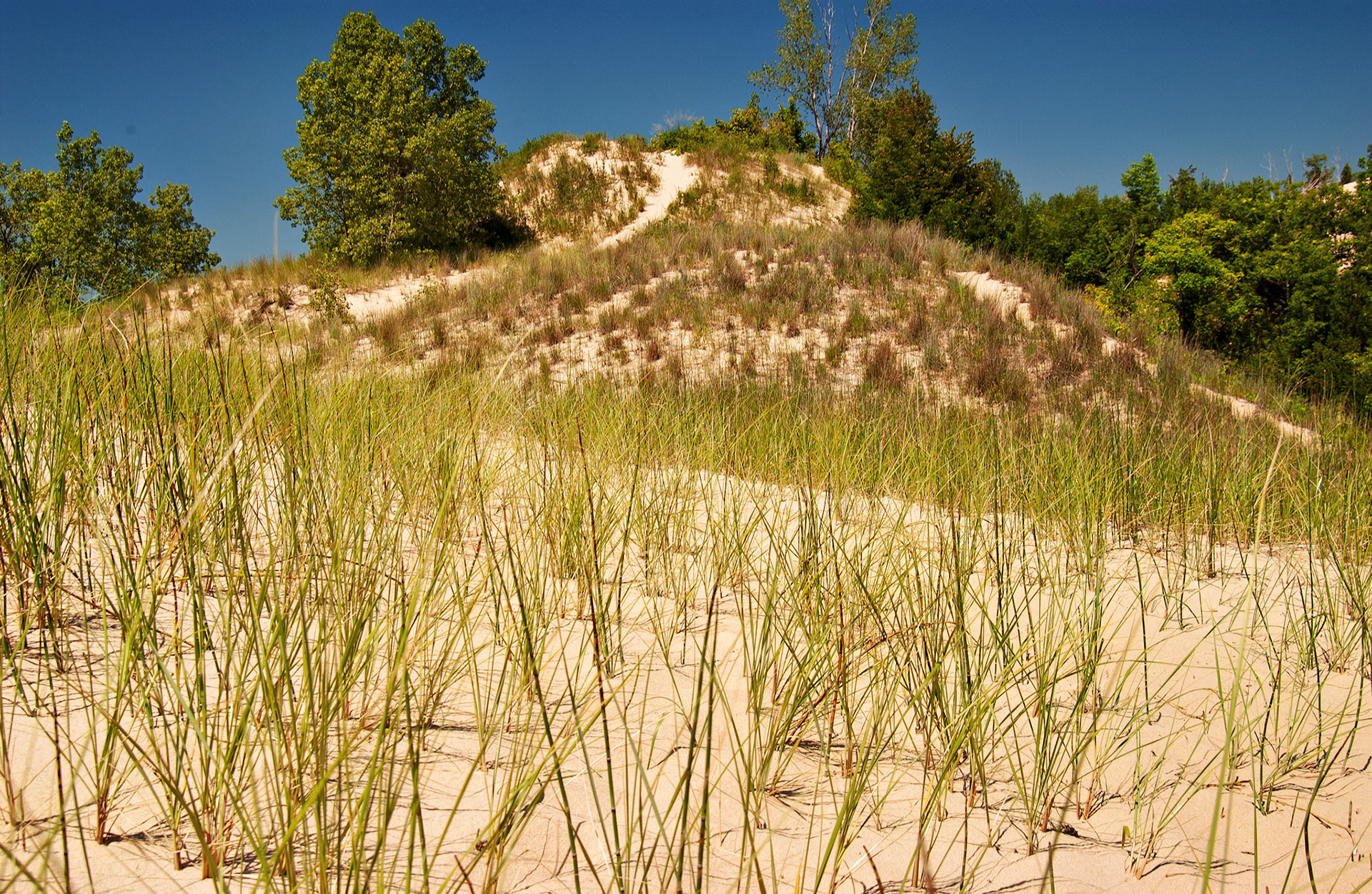 MI_New BuffaloArea_20020731_0010_PS.tif