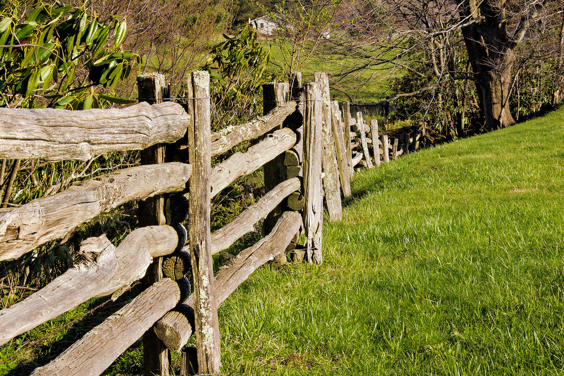 VA_20030412_0020_PS.dng