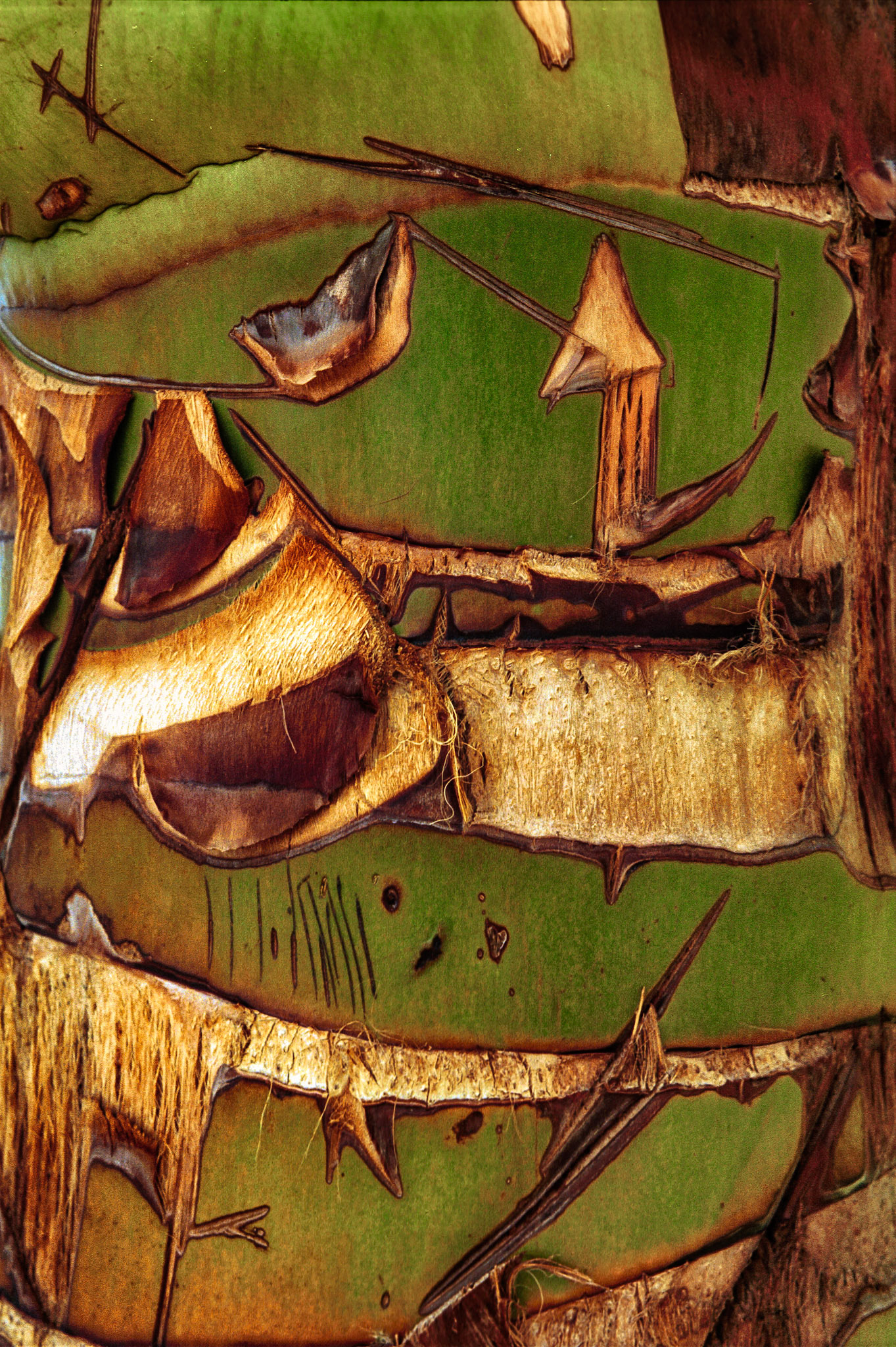 Artistic Photos 00091