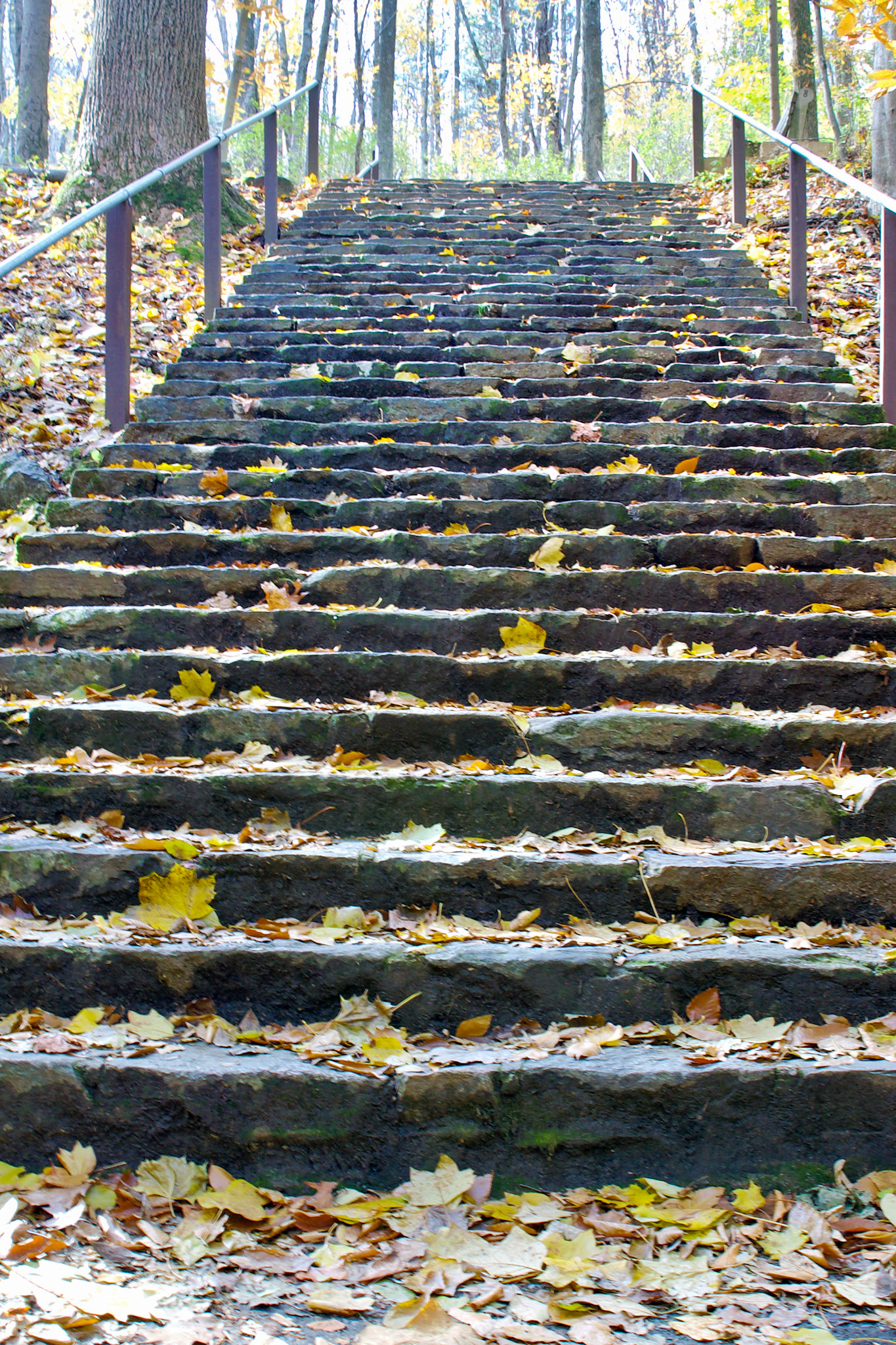 CT_20021109_0009_PS.dng