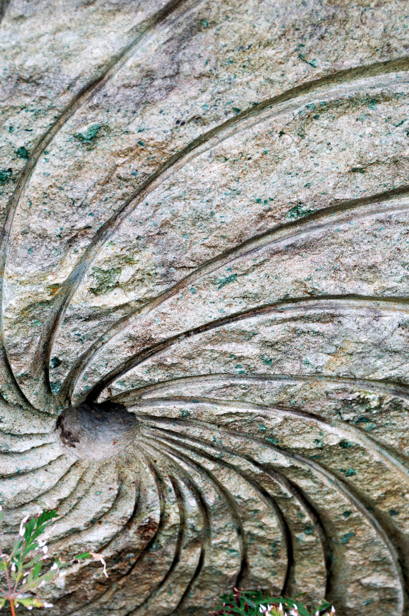 PA_GroundsForSculpture_20080814_0152_PS.dng