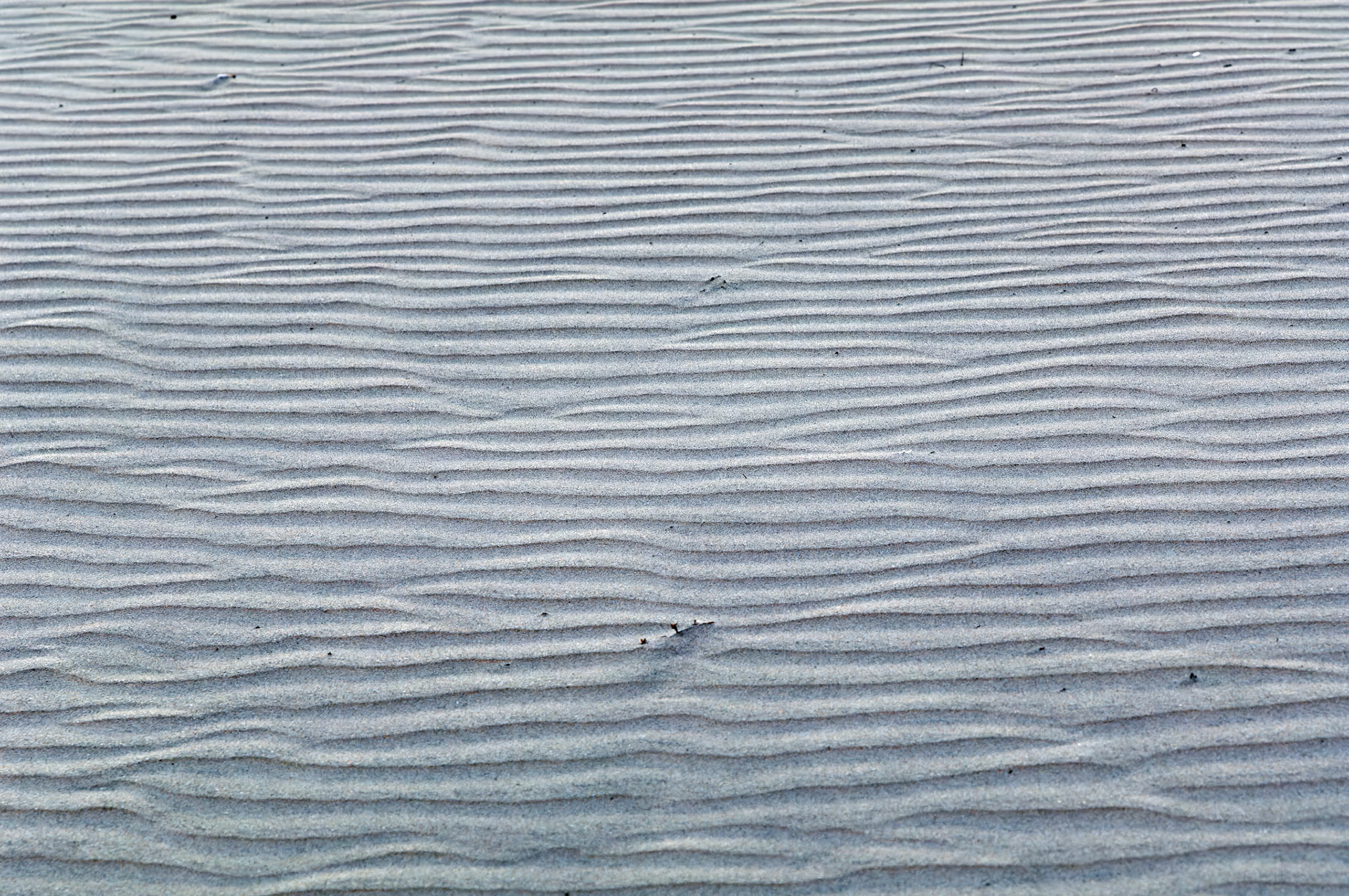 CA_SanDiego_20050729_0121_PS.dng